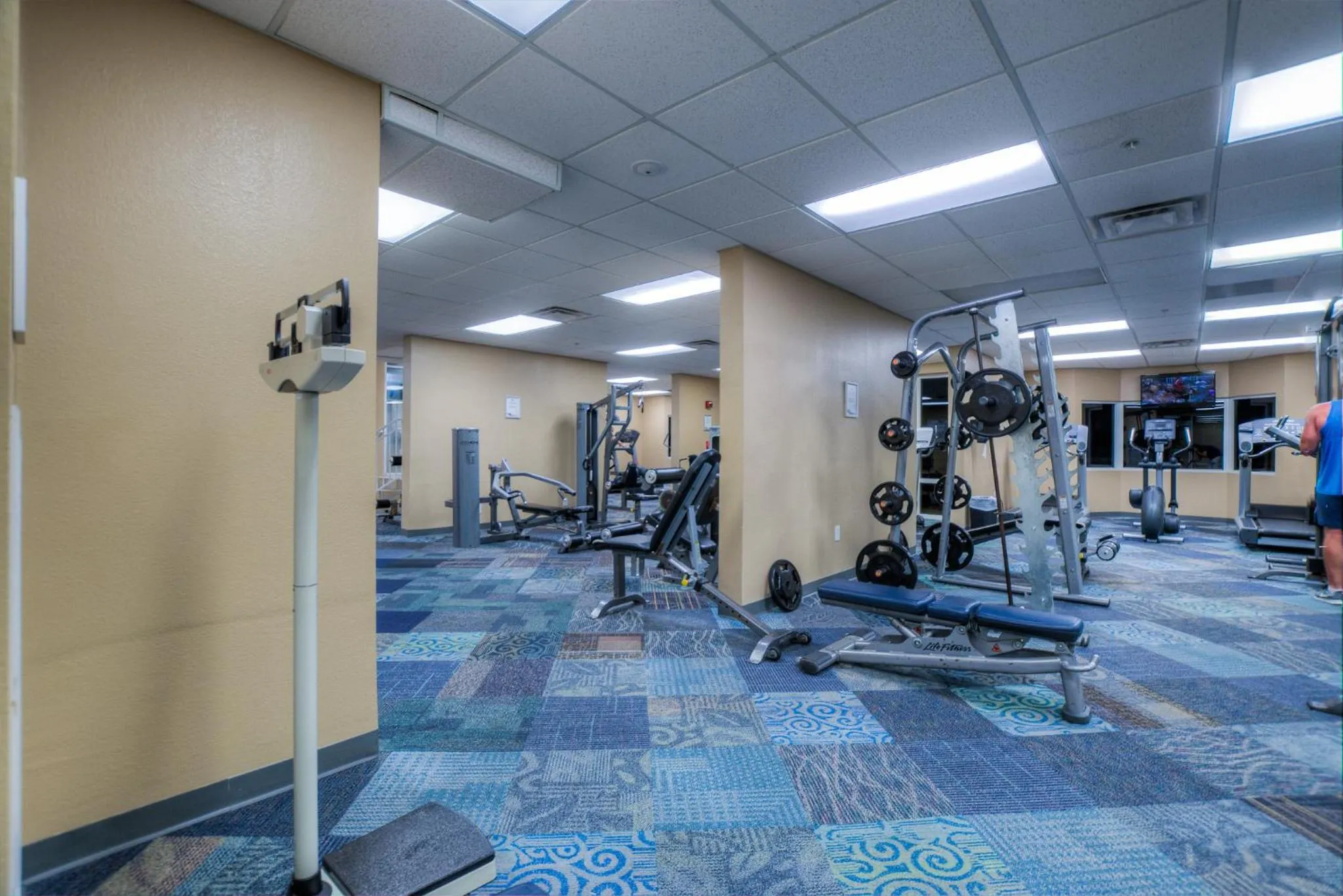 Tidewater Beach Resort 1818 By Aneliya