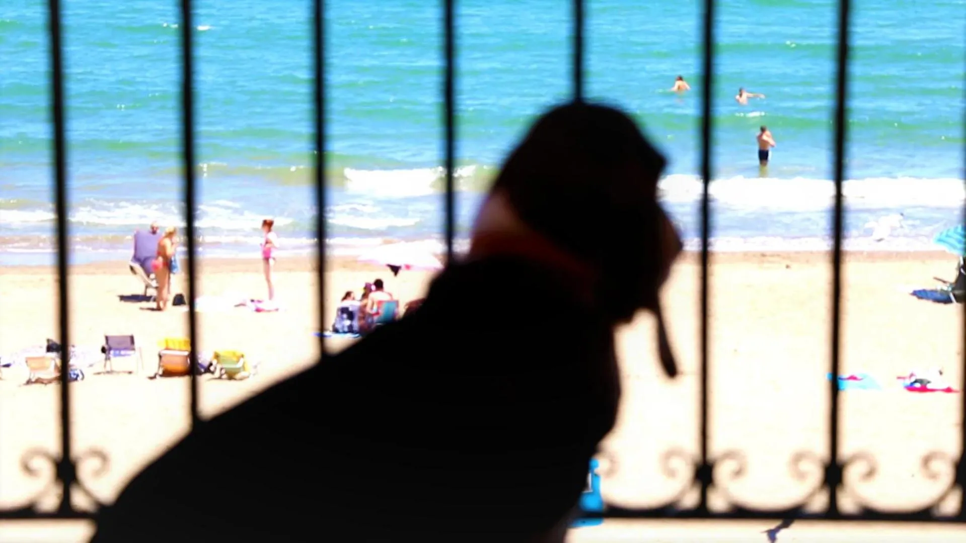 Animals in Sea You Apartamentos Valencia Port Saplaya