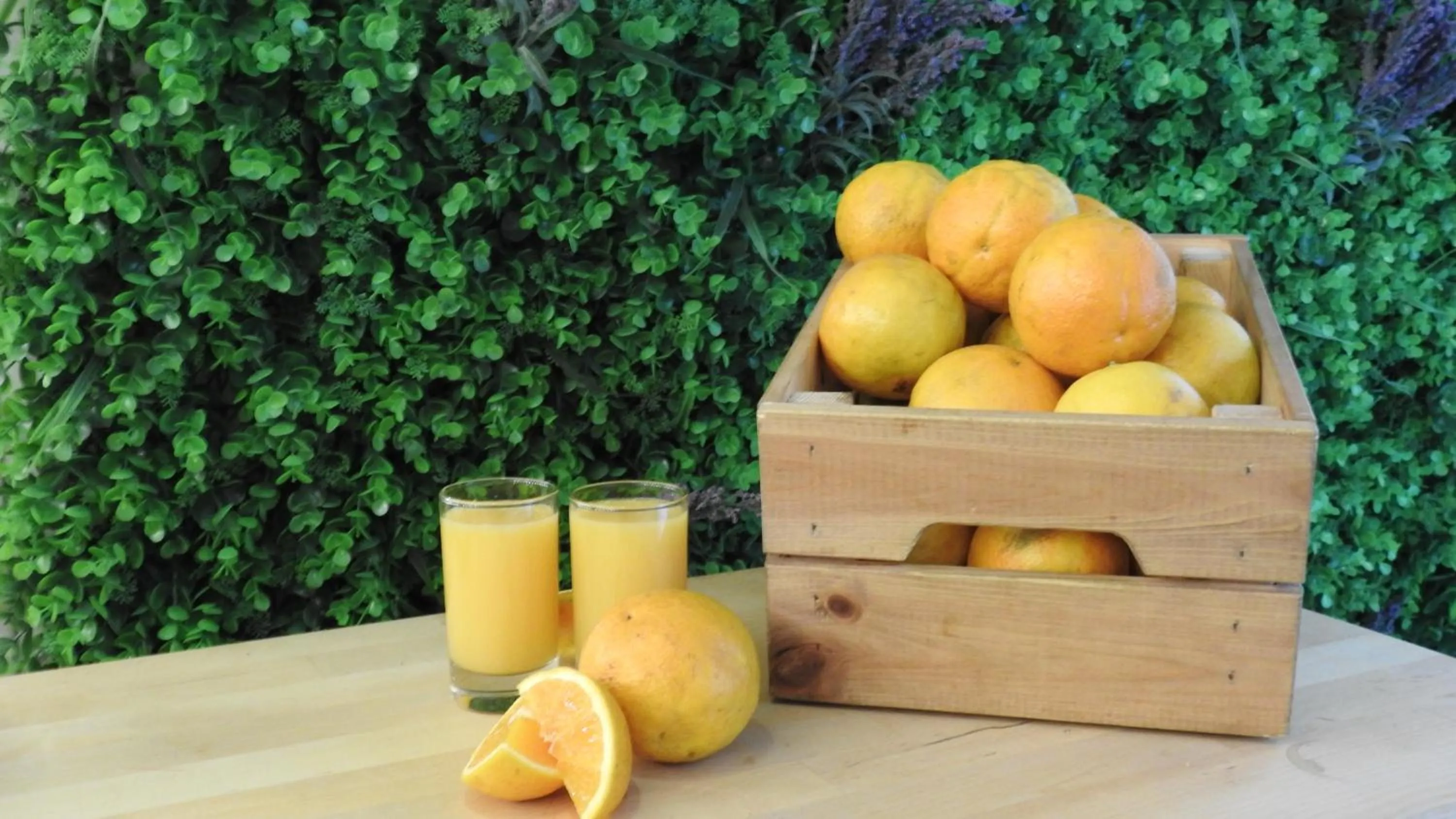 Food and drinks in Legendary Porto Hotel