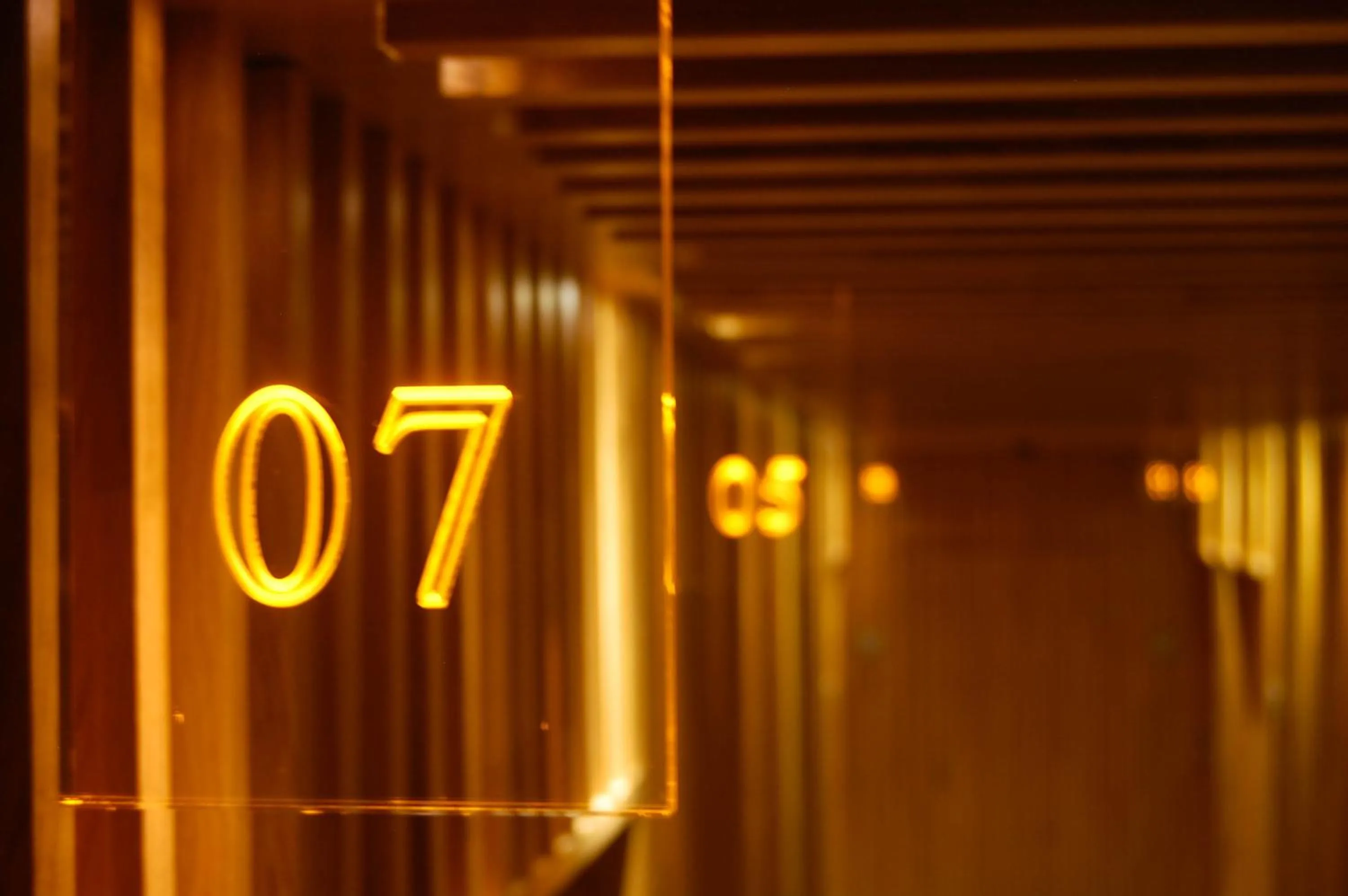 Decorative detail in Hotel Araba