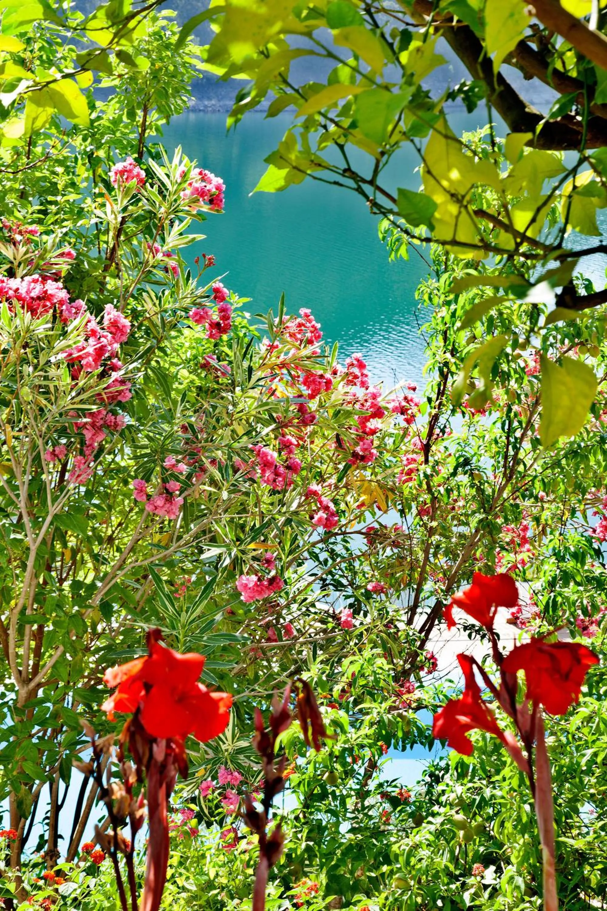 Garden view in Lago Azul Eco Hotel