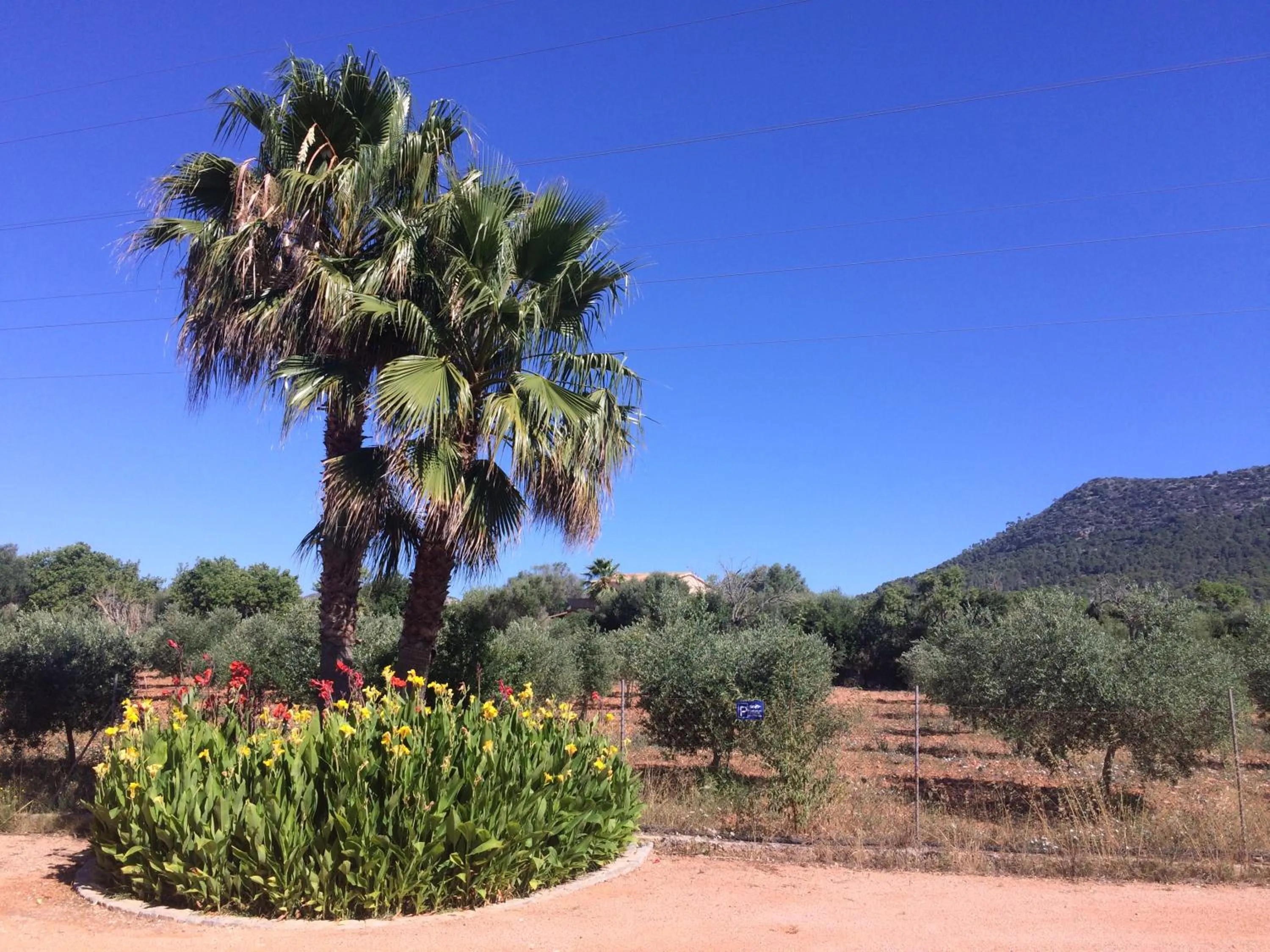 View (from property/room) in Villa Sampoli - Agroturismo Son Sampoli - Adults only