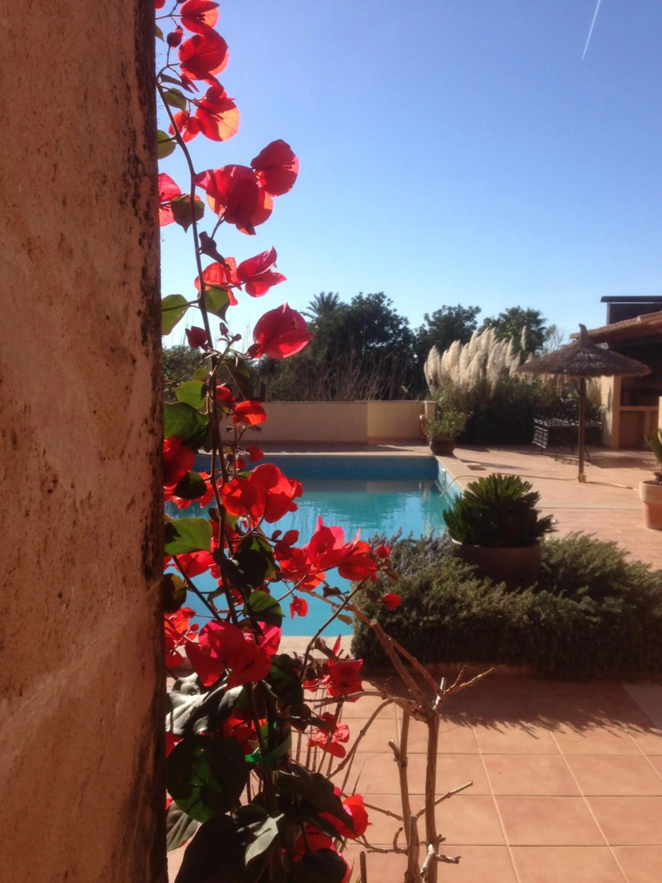 Decorative detail, Swimming Pool in Villa Sampoli - Agroturismo Son Sampoli - Adults only