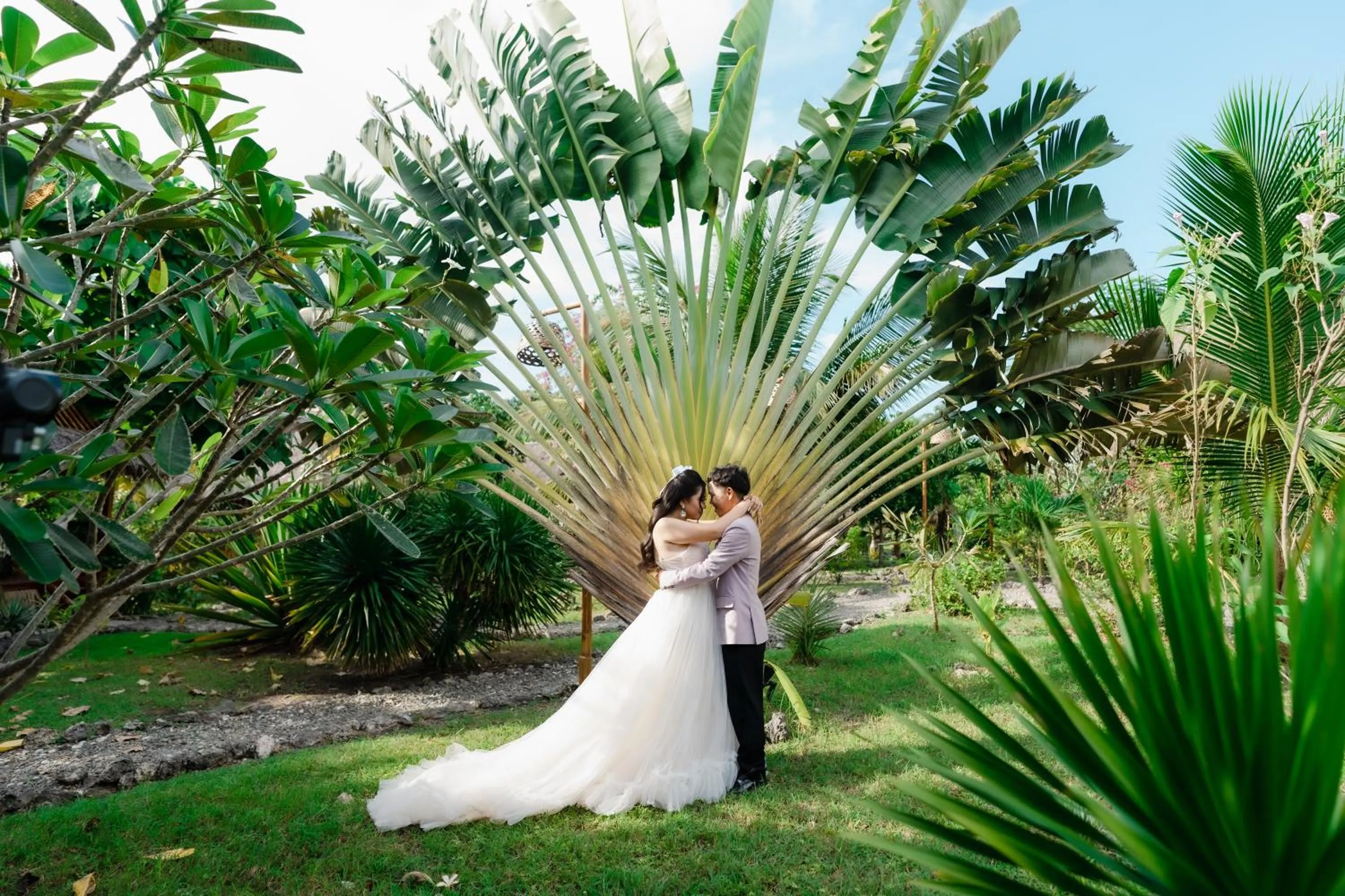 Garden in Tongo Hill Cottages