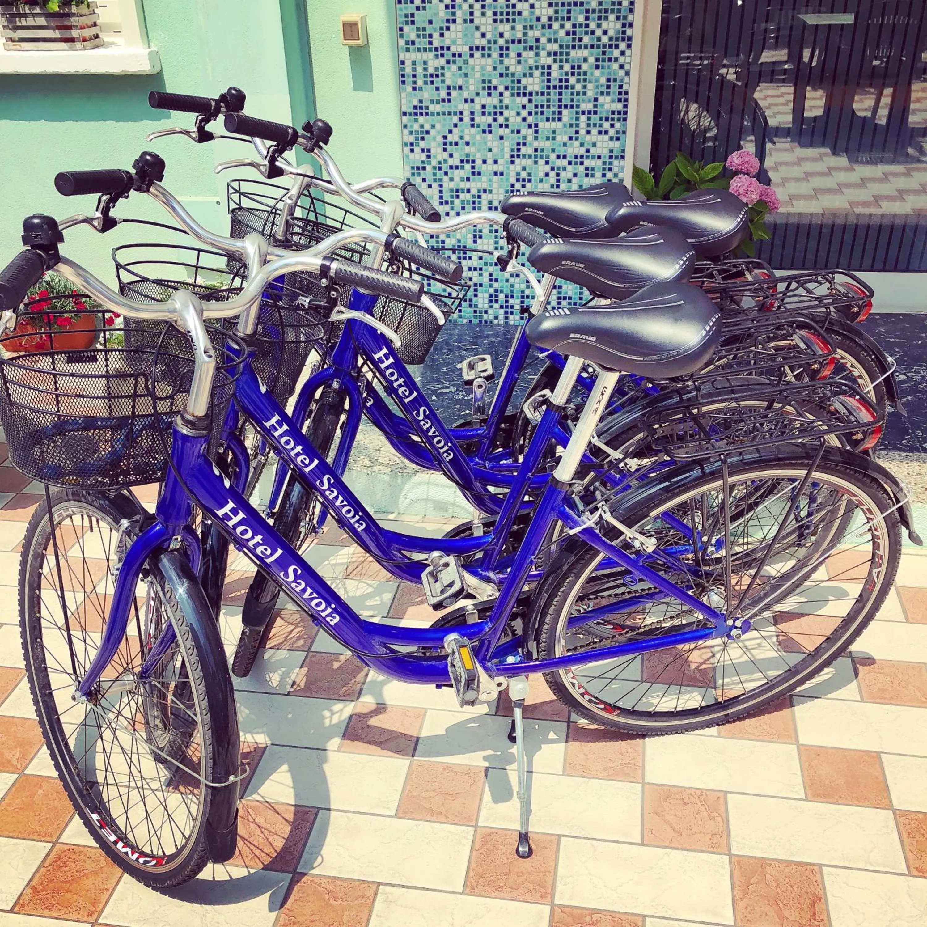 Activities in Hotel Savoia