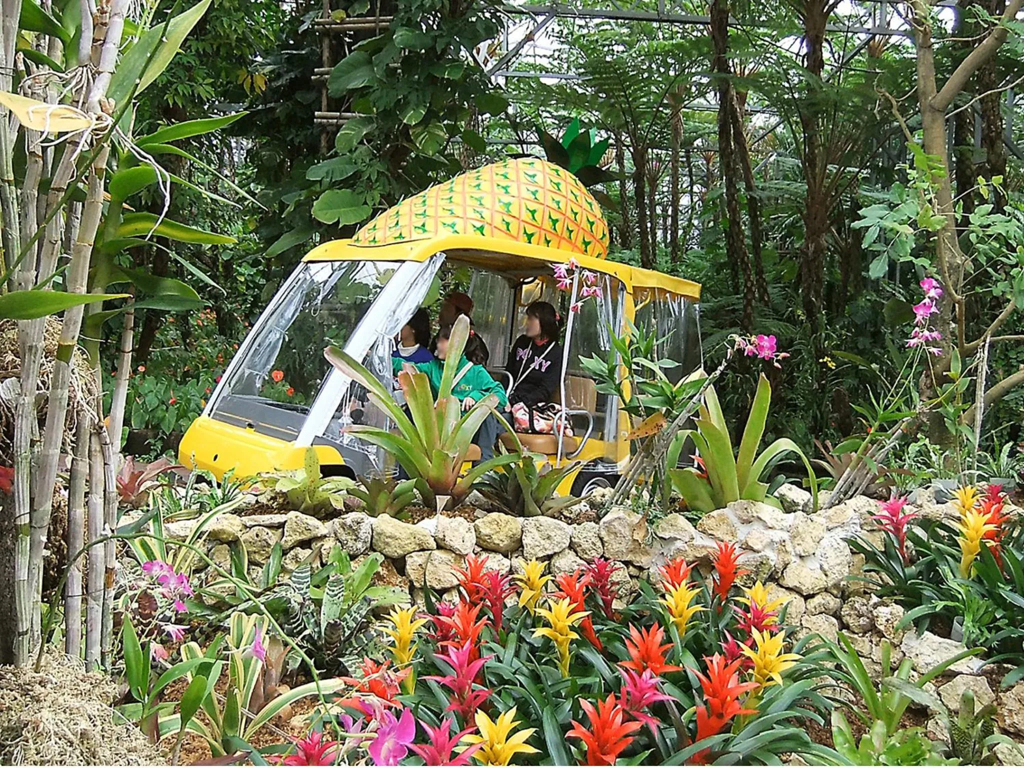 Other in Marea Resort Motobu