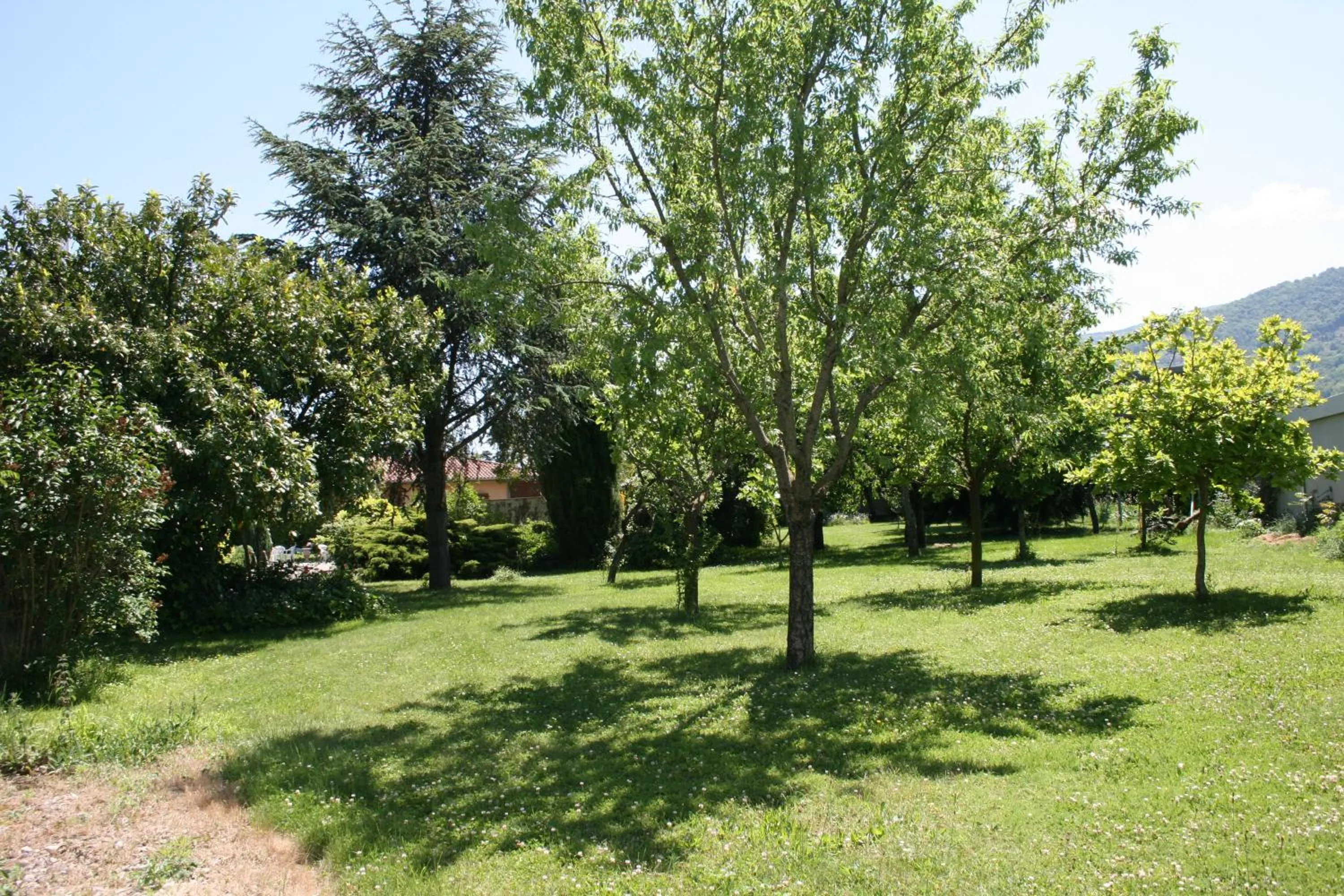Garden in Hôtel Pyrène