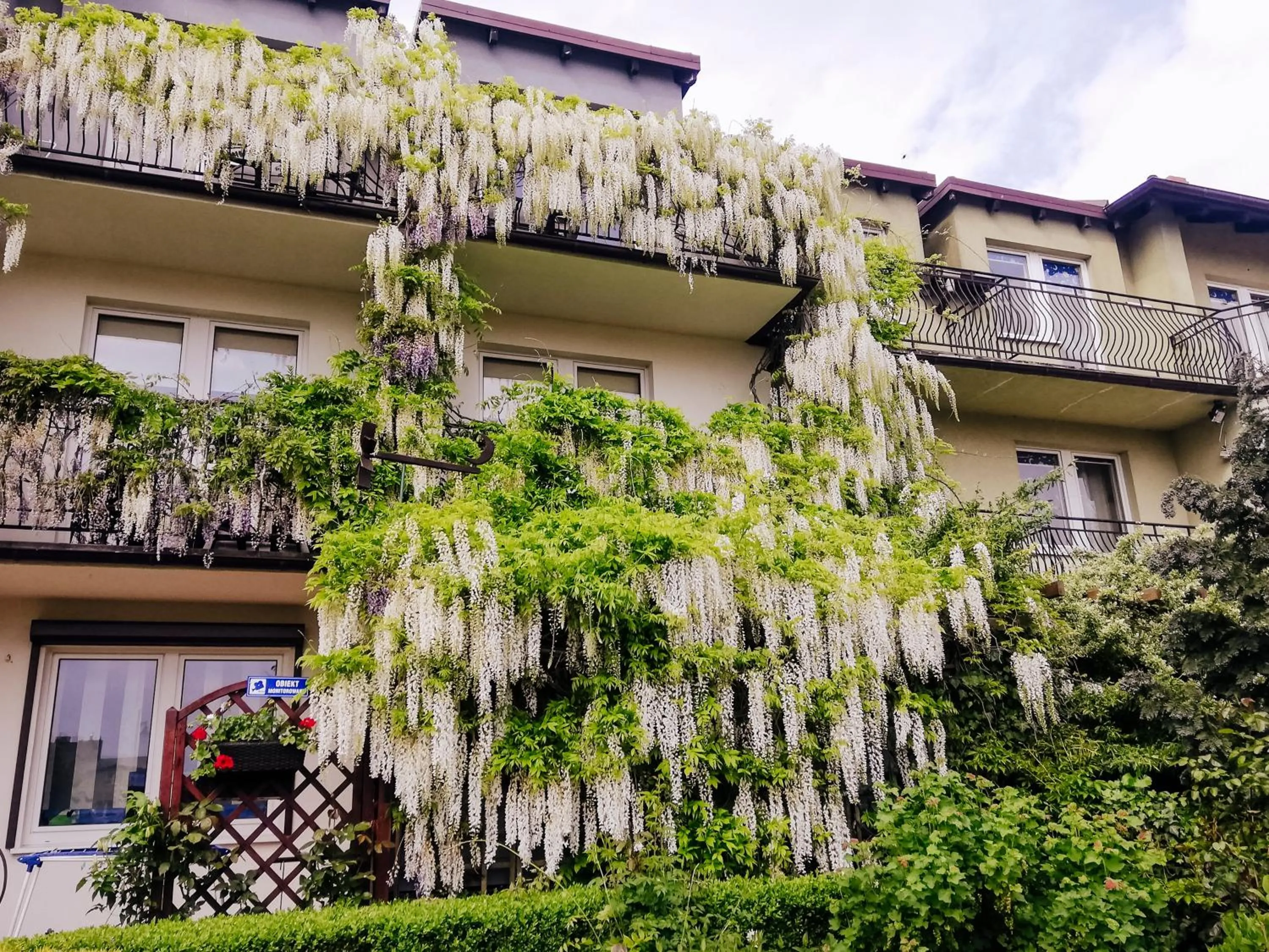 Property building in Willa Luna