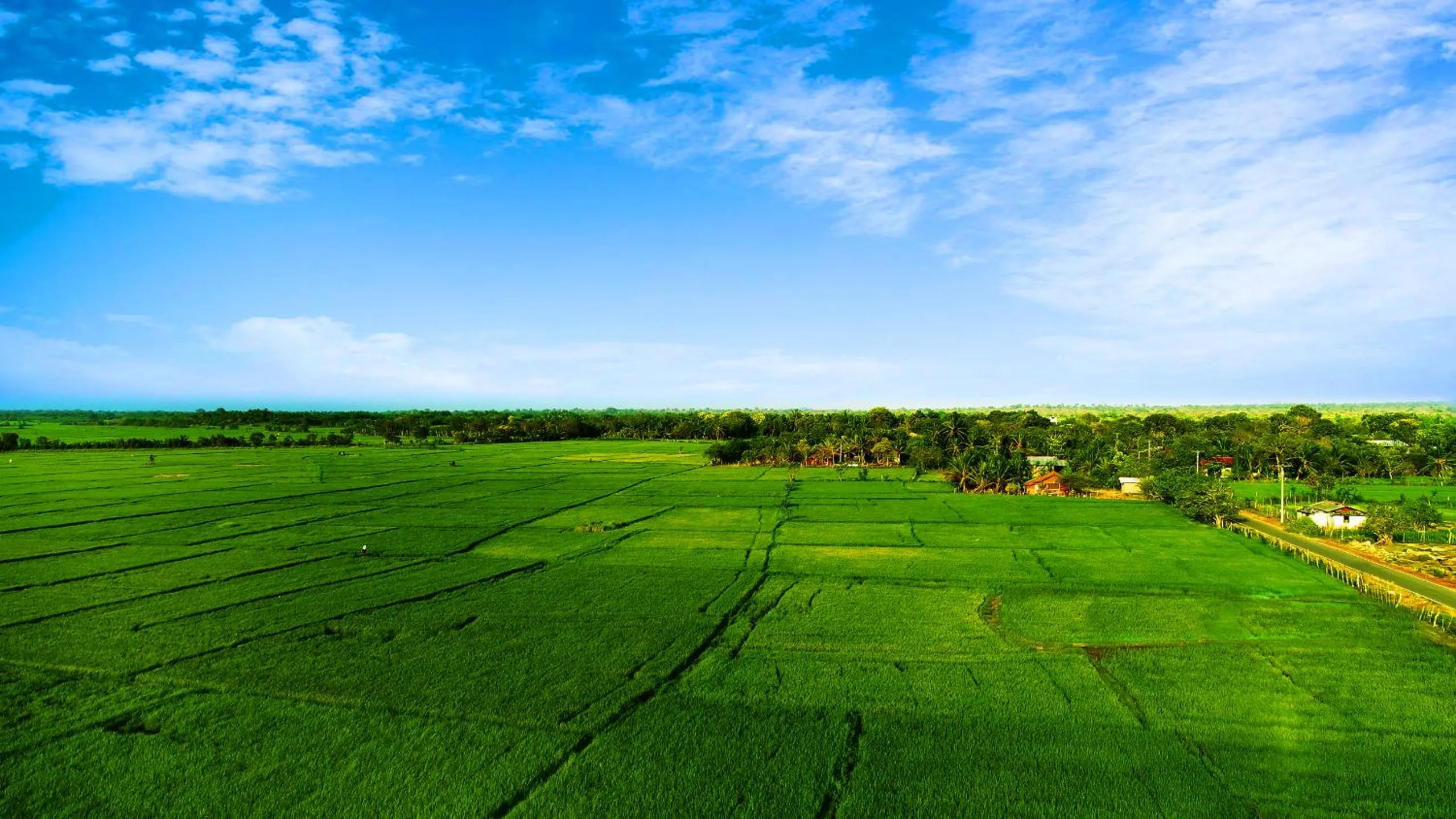 View (from property/room) in Avonil Resort Yala