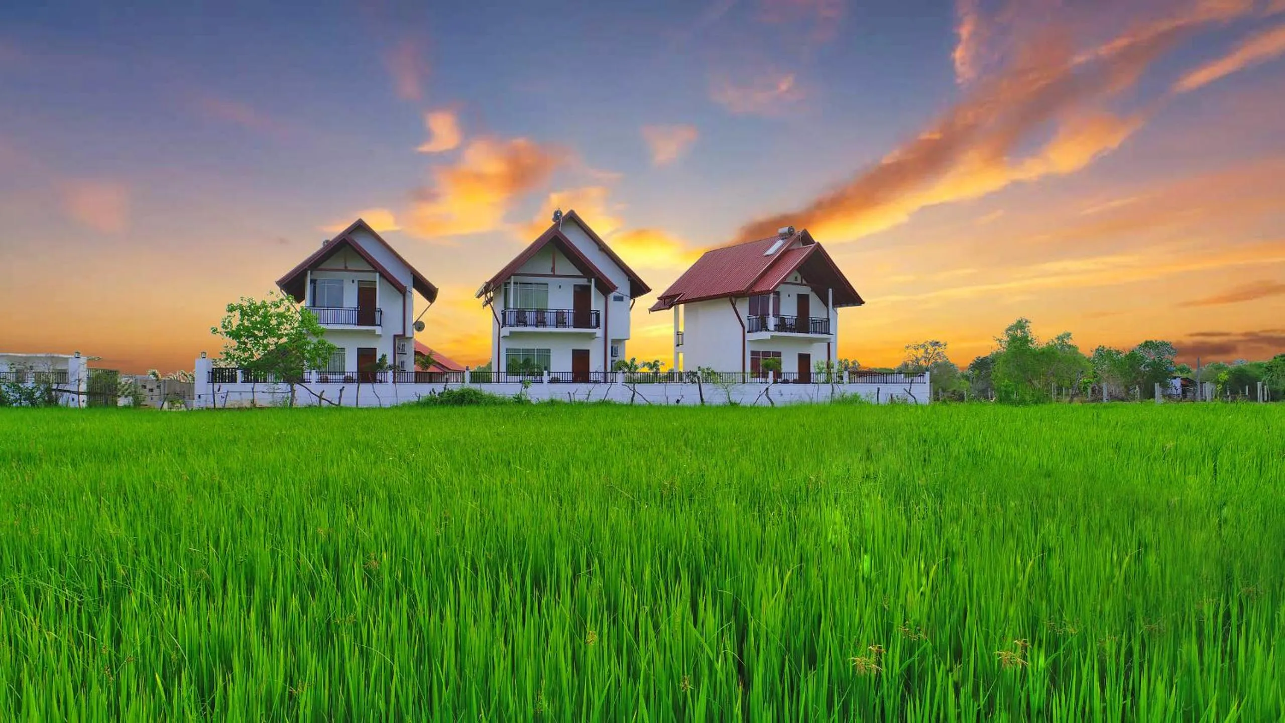 Landmark view in Avonil Resort Yala