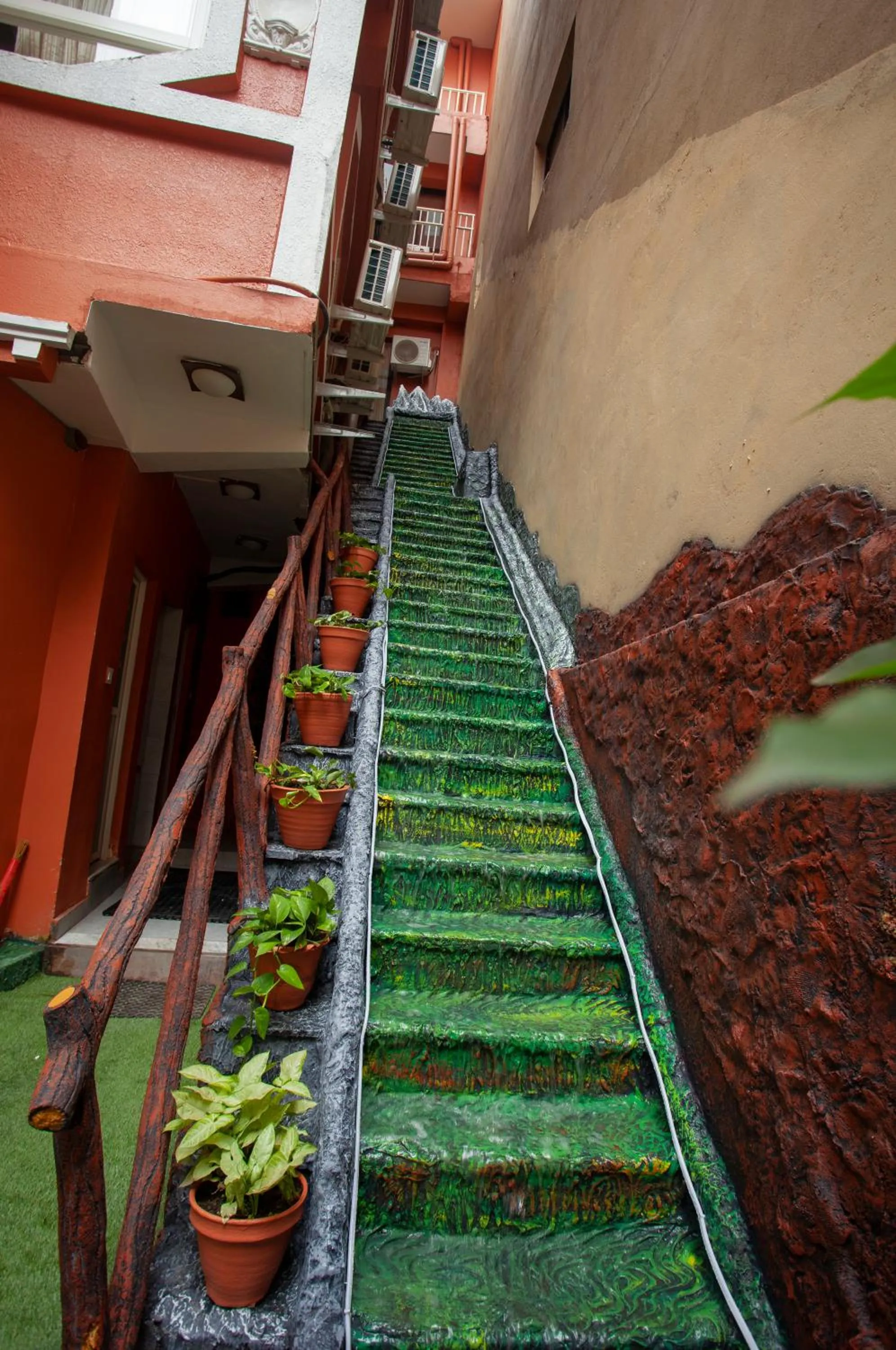 Garden in Hotel Jampa
