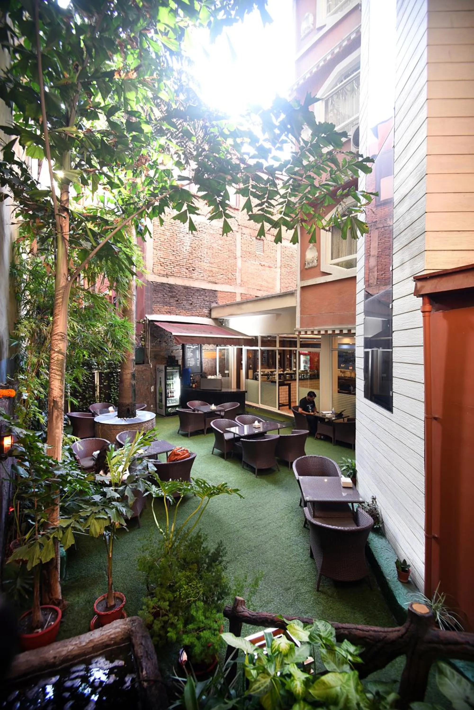 Garden in Hotel Jampa