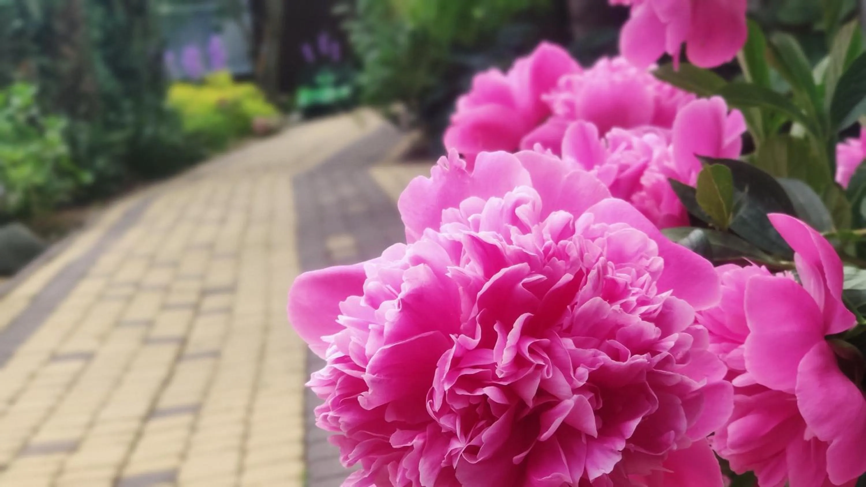 Children play ground in OW Sargus