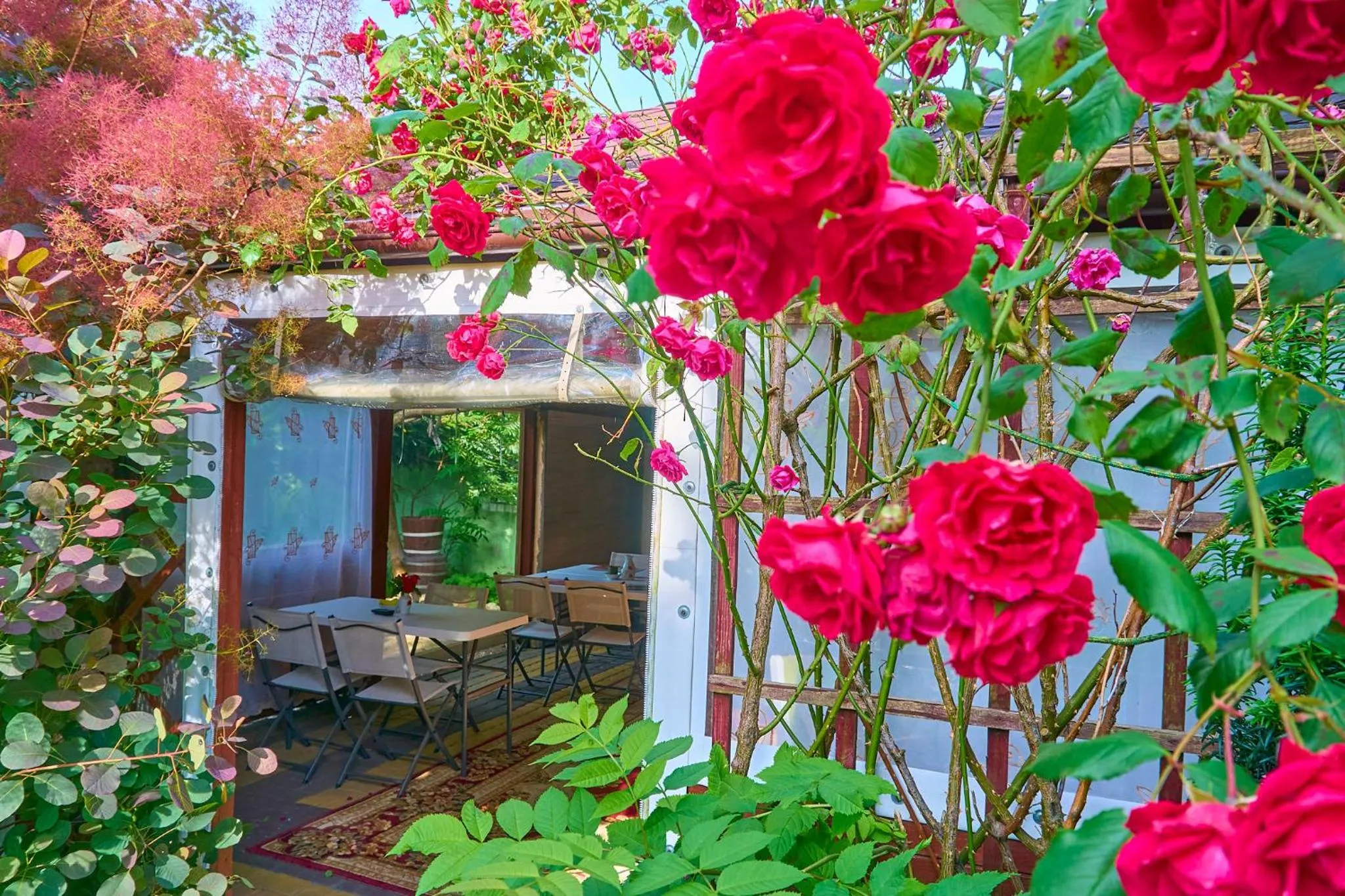 BBQ facilities in OW Sargus