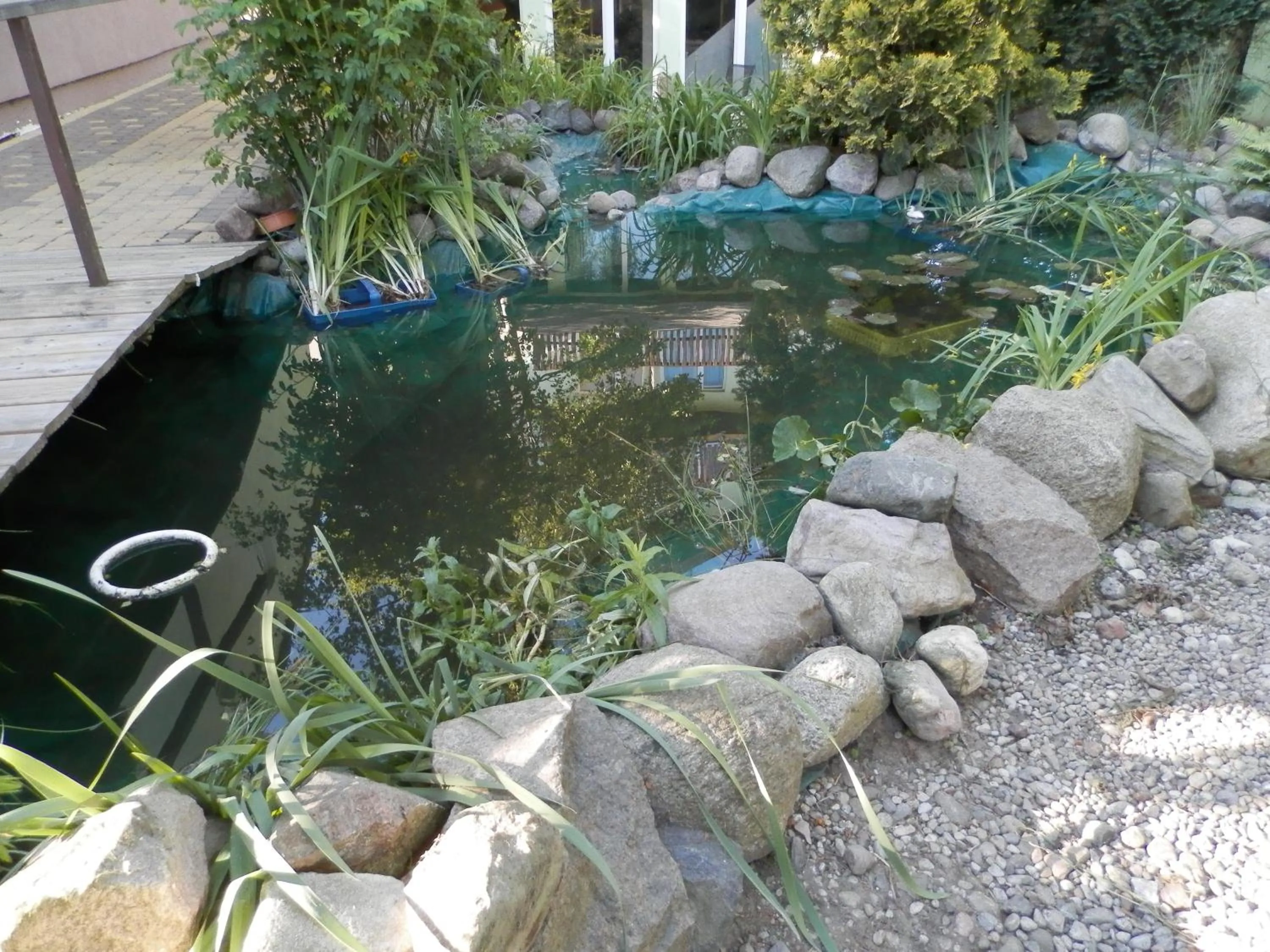 Activities in OW Sargus