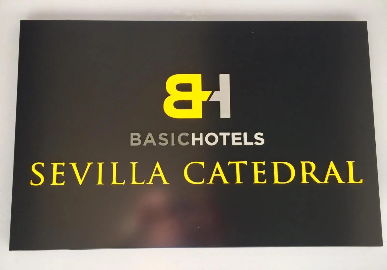 Property logo or sign in Basic Hotel Sevilla Catedral