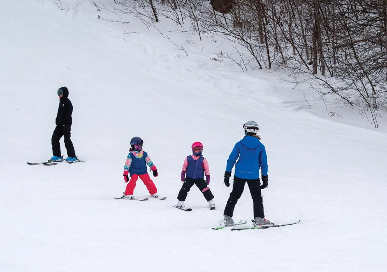 Winter in Hockley Valley Resort