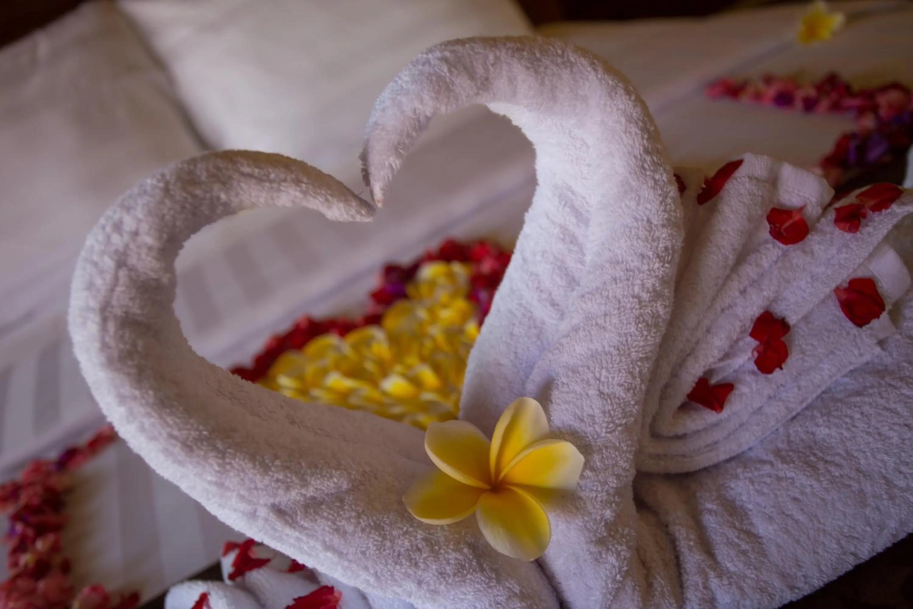 Decorative detail in Rijet Villa Beach & Restaurant