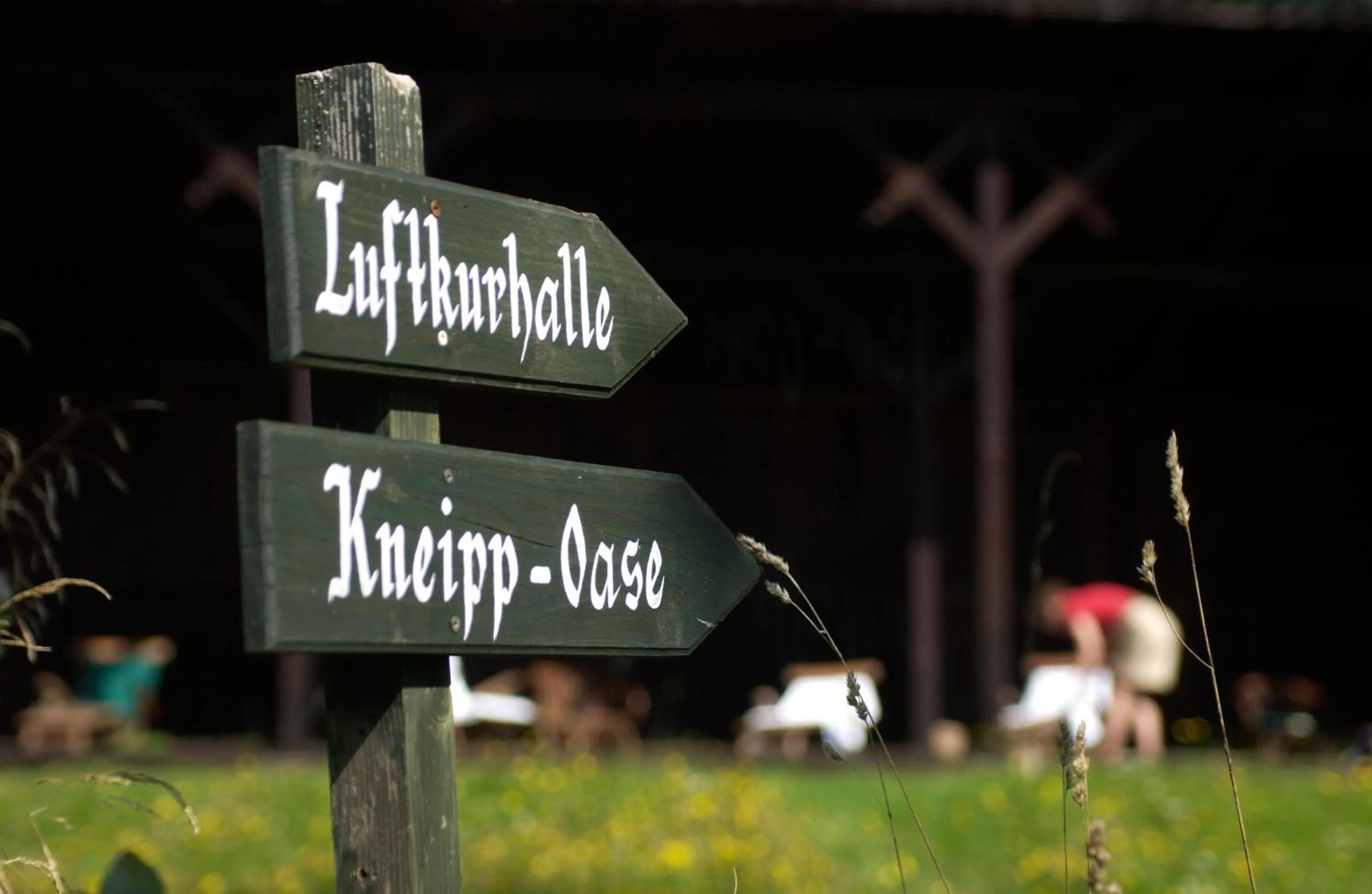 Spa and wellness centre/facilities in Hotel Landsitz Pichlschloss