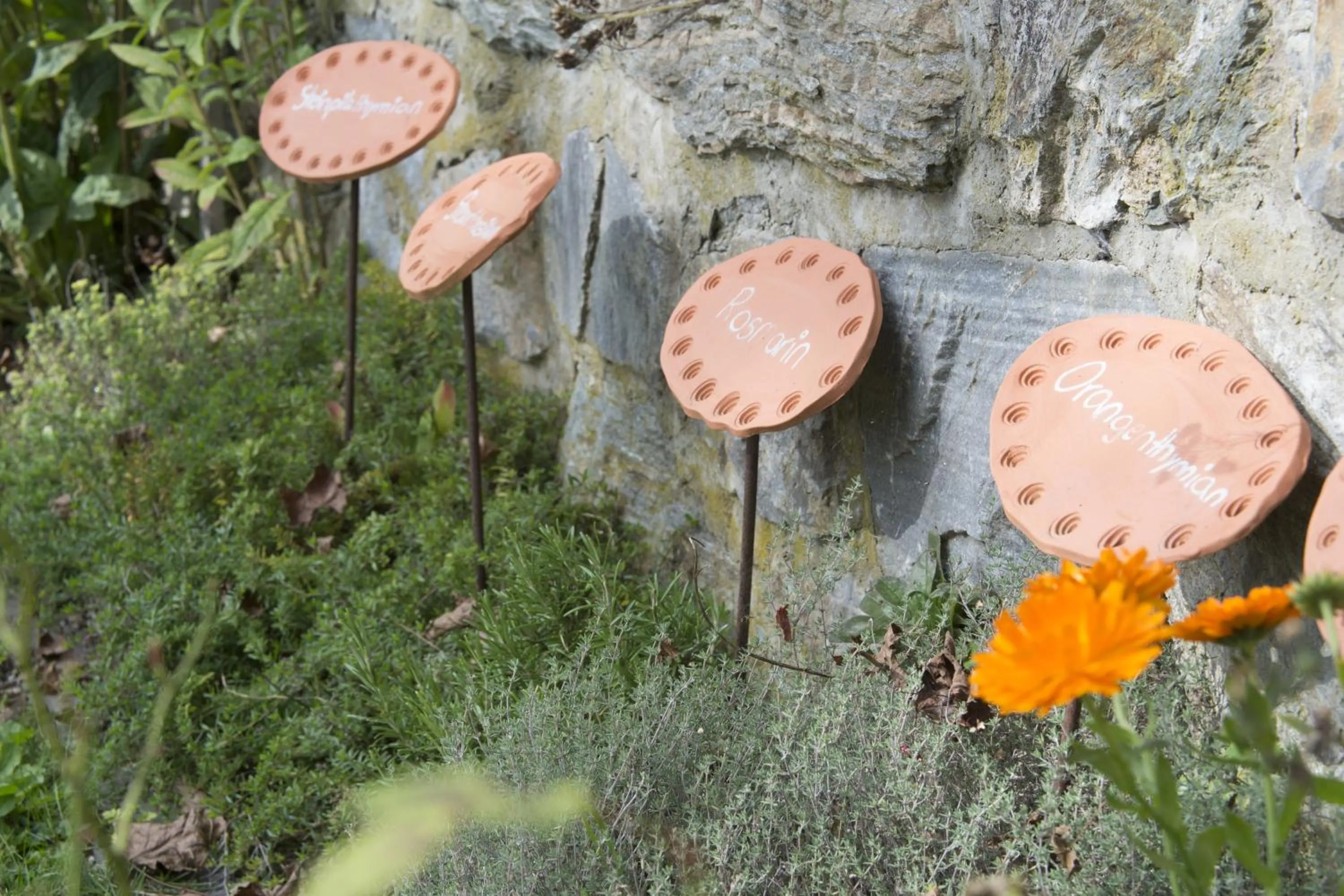 Other in Hotel Landsitz Pichlschloss