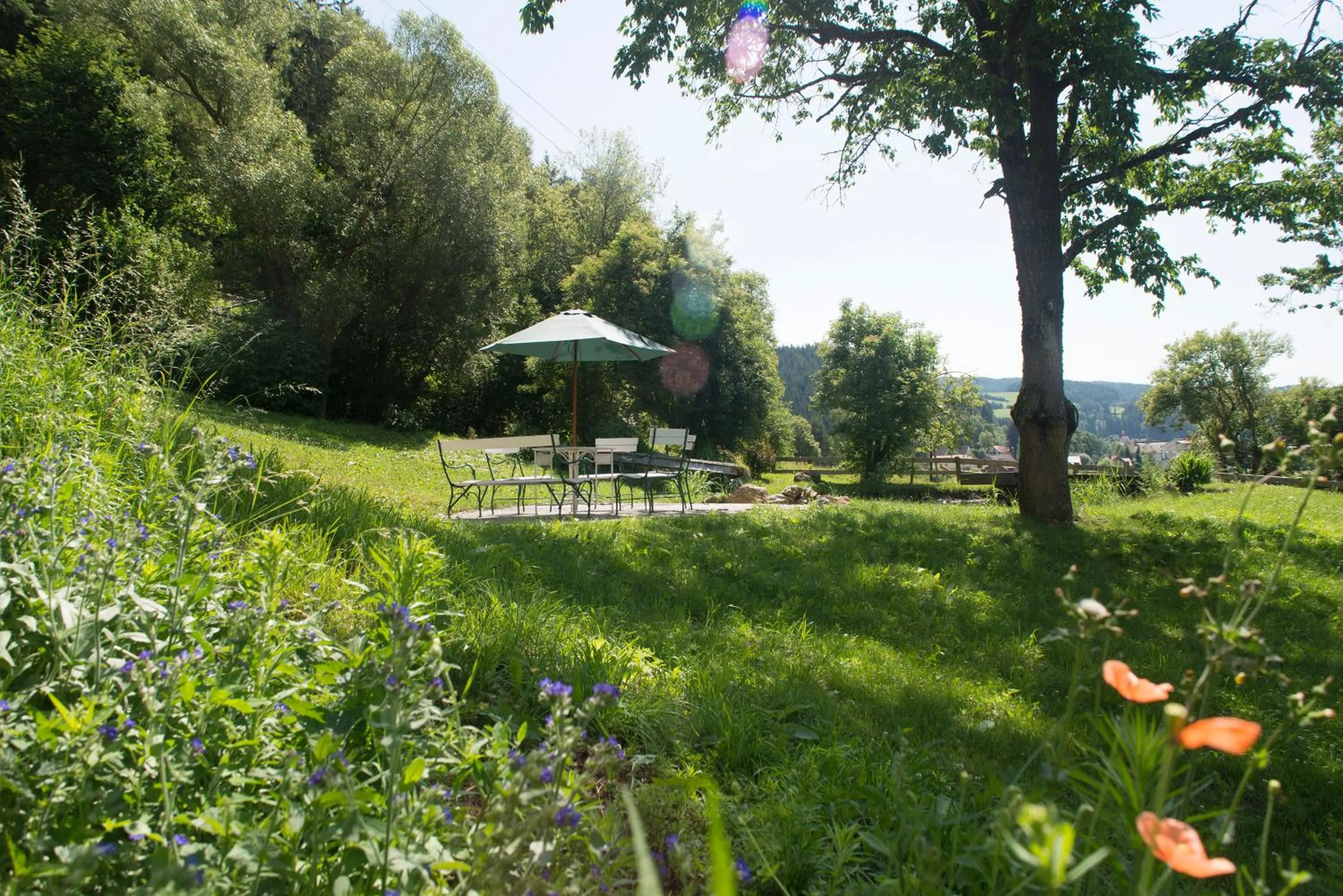 Natural landscape in Hotel Landsitz Pichlschloss