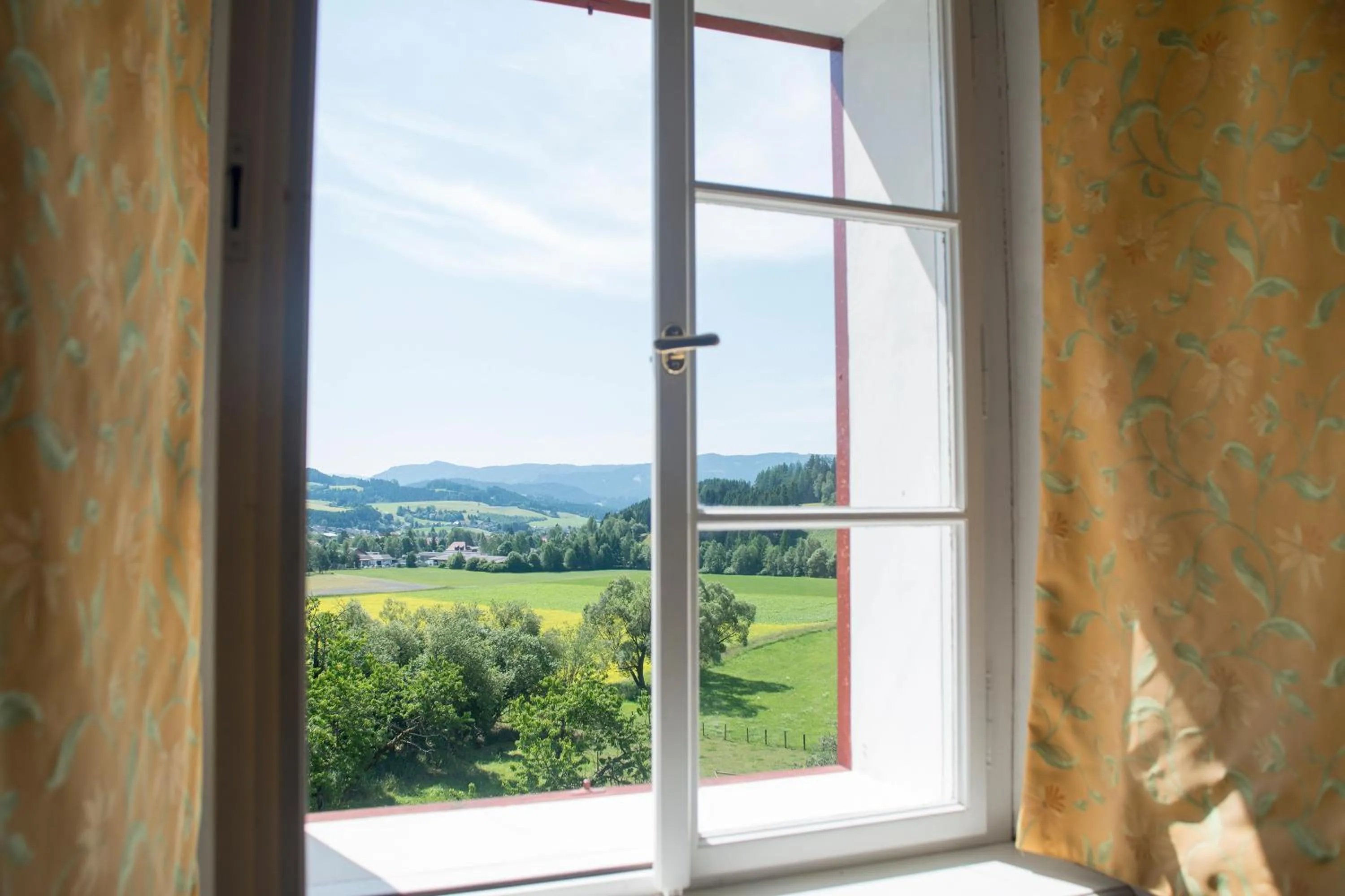 View (from property/room) in Hotel Landsitz Pichlschloss