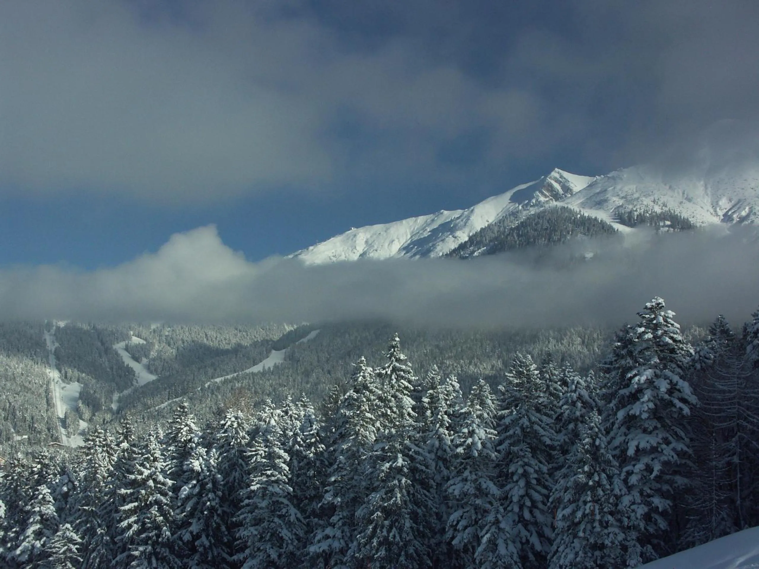 Natural landscape in Hotel Helga