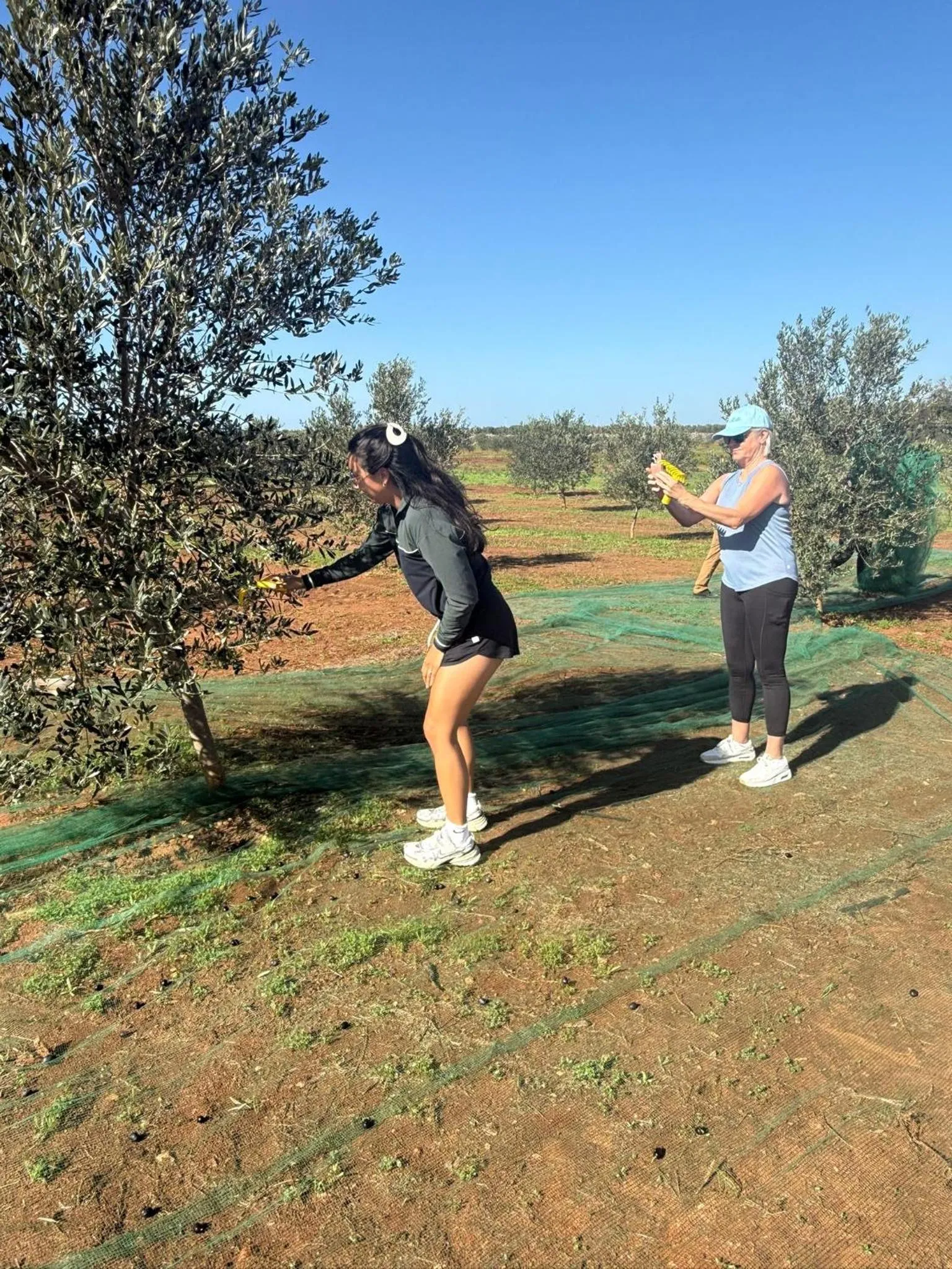 Day in Tenuta Masseria & Spa Chicco Rizzo