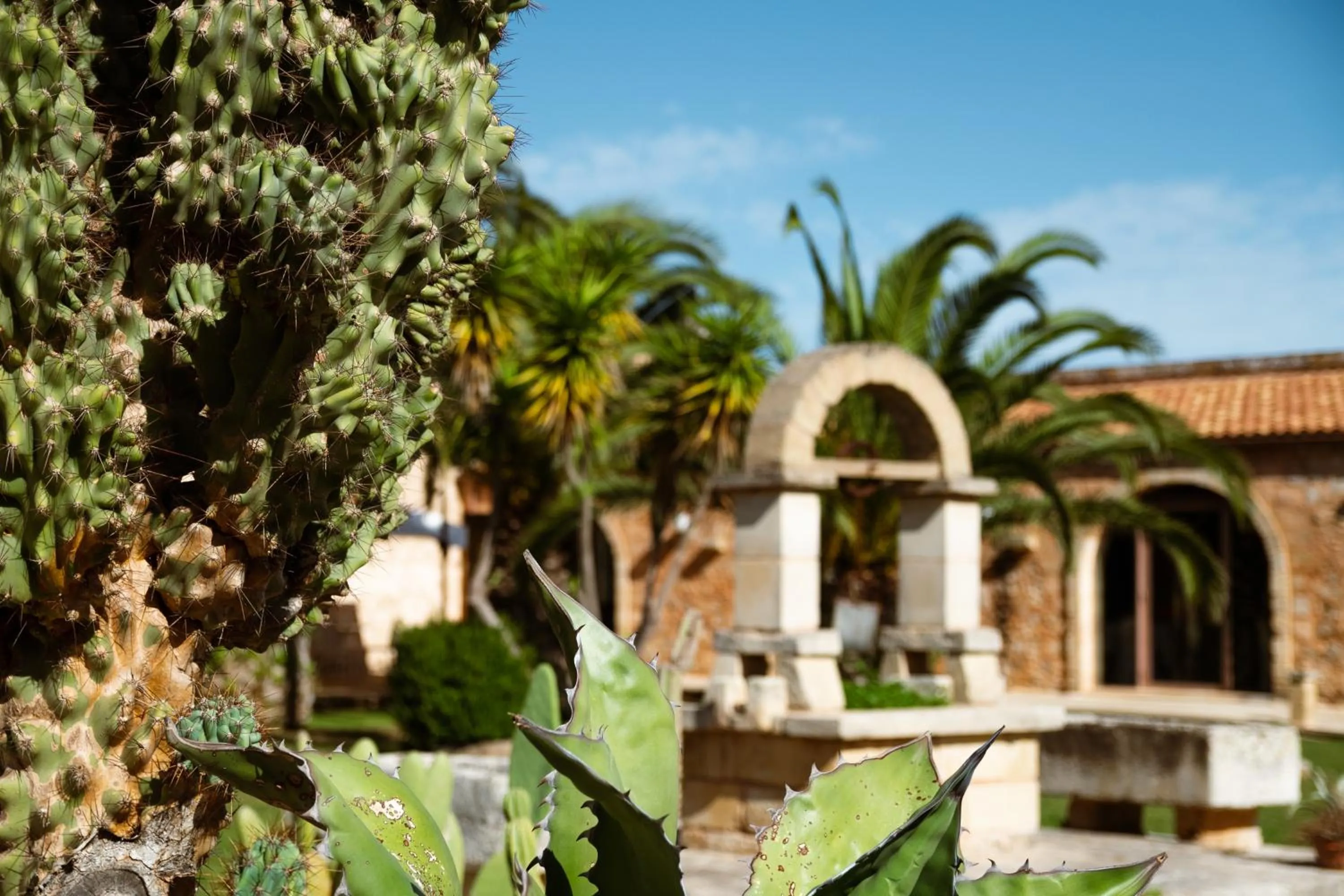 Tenuta Masseria & Spa Chicco Rizzo