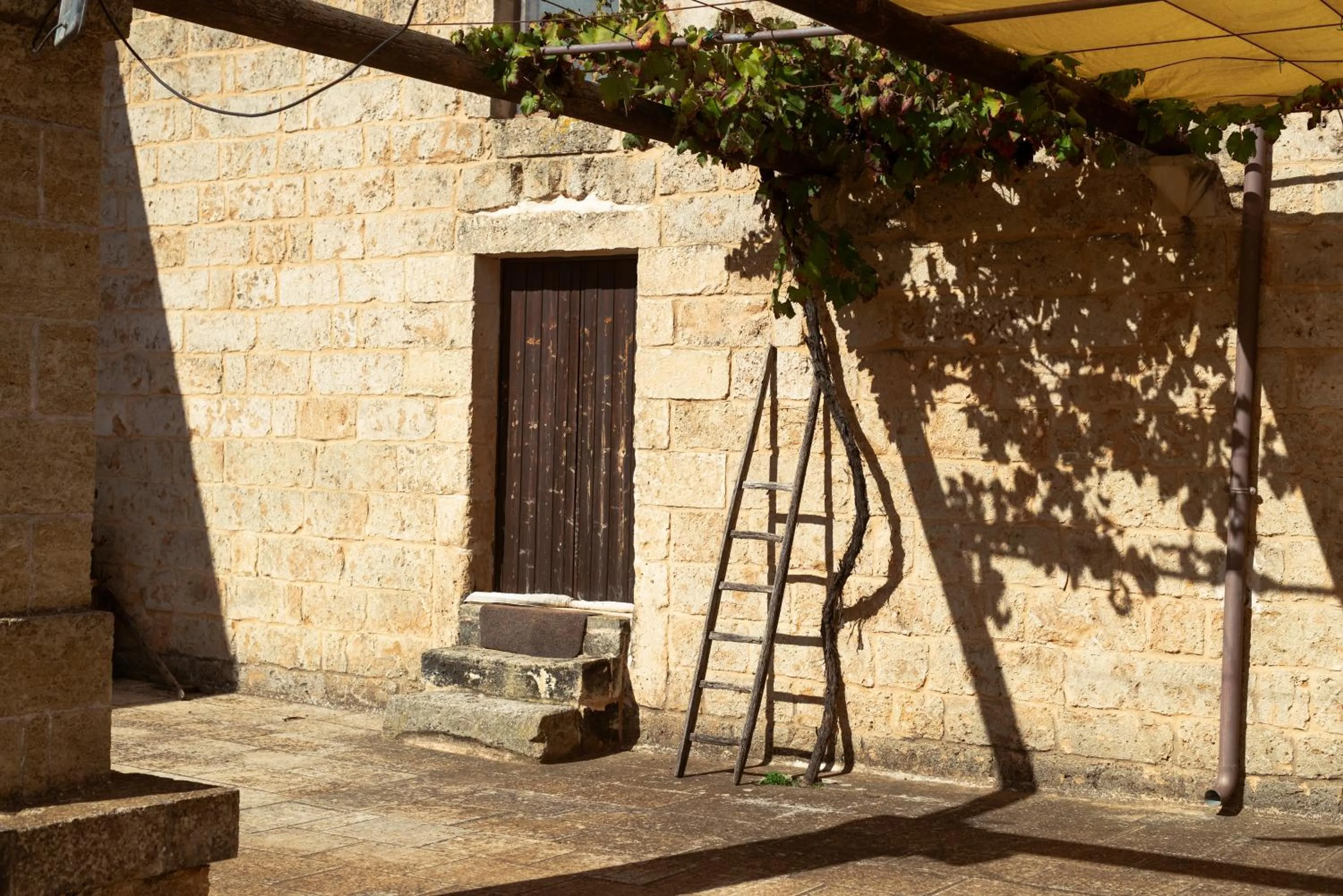 Tenuta Masseria & Spa Chicco Rizzo