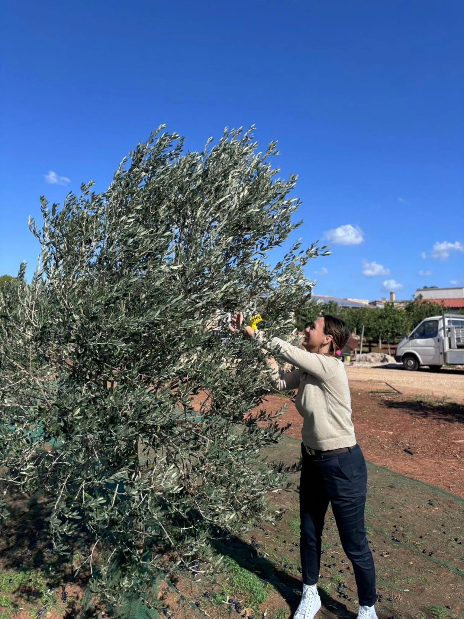 Tenuta Masseria & Spa Chicco Rizzo