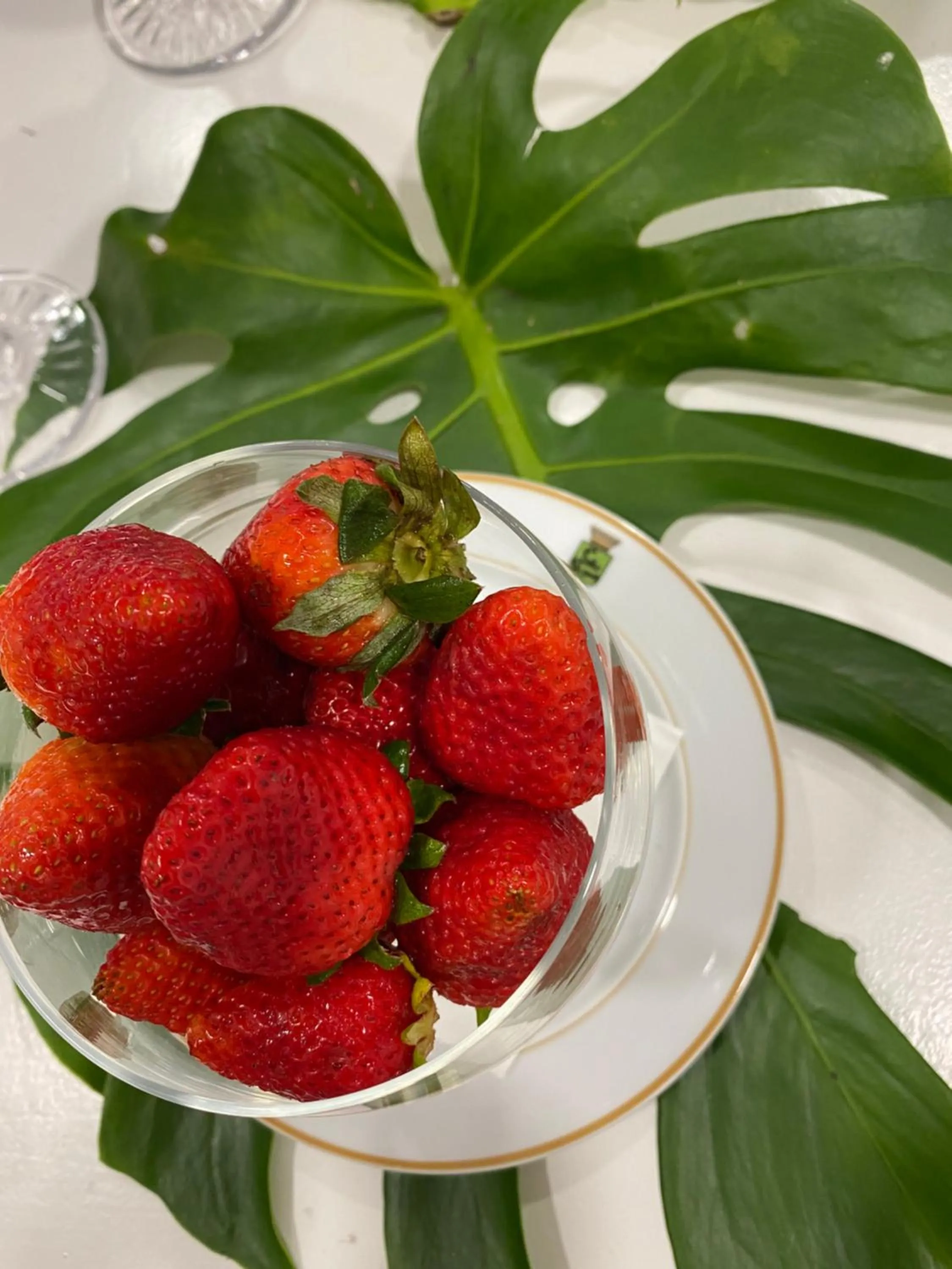 Food in Solar Do Conde Garden Hotel