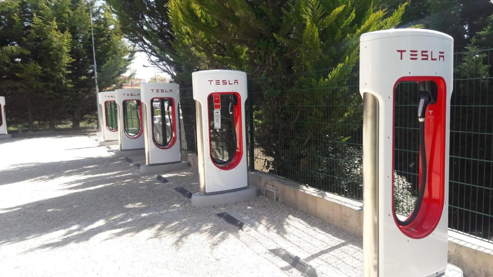 Activities in Hotel Lusitania Congress & Spa