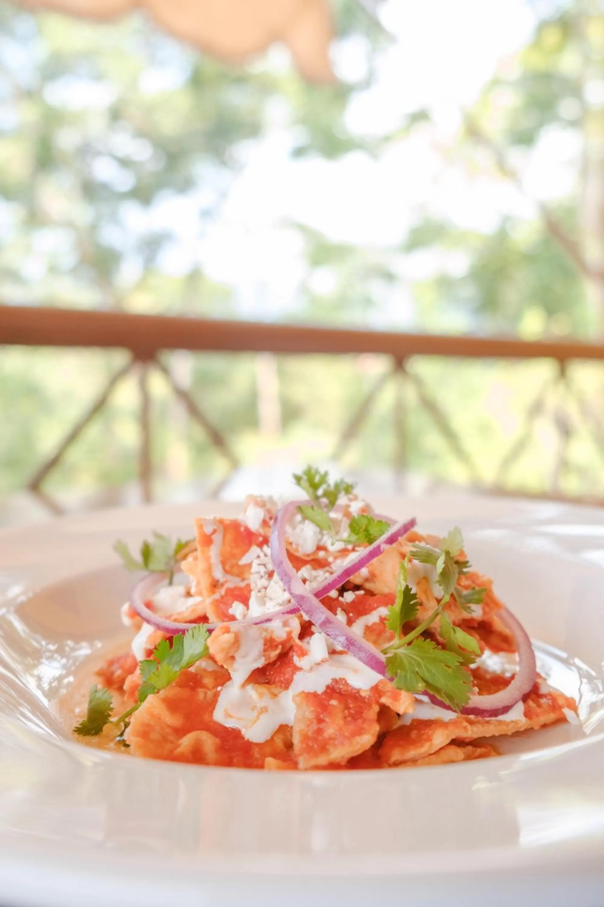 Food in Argovia Ecolodge