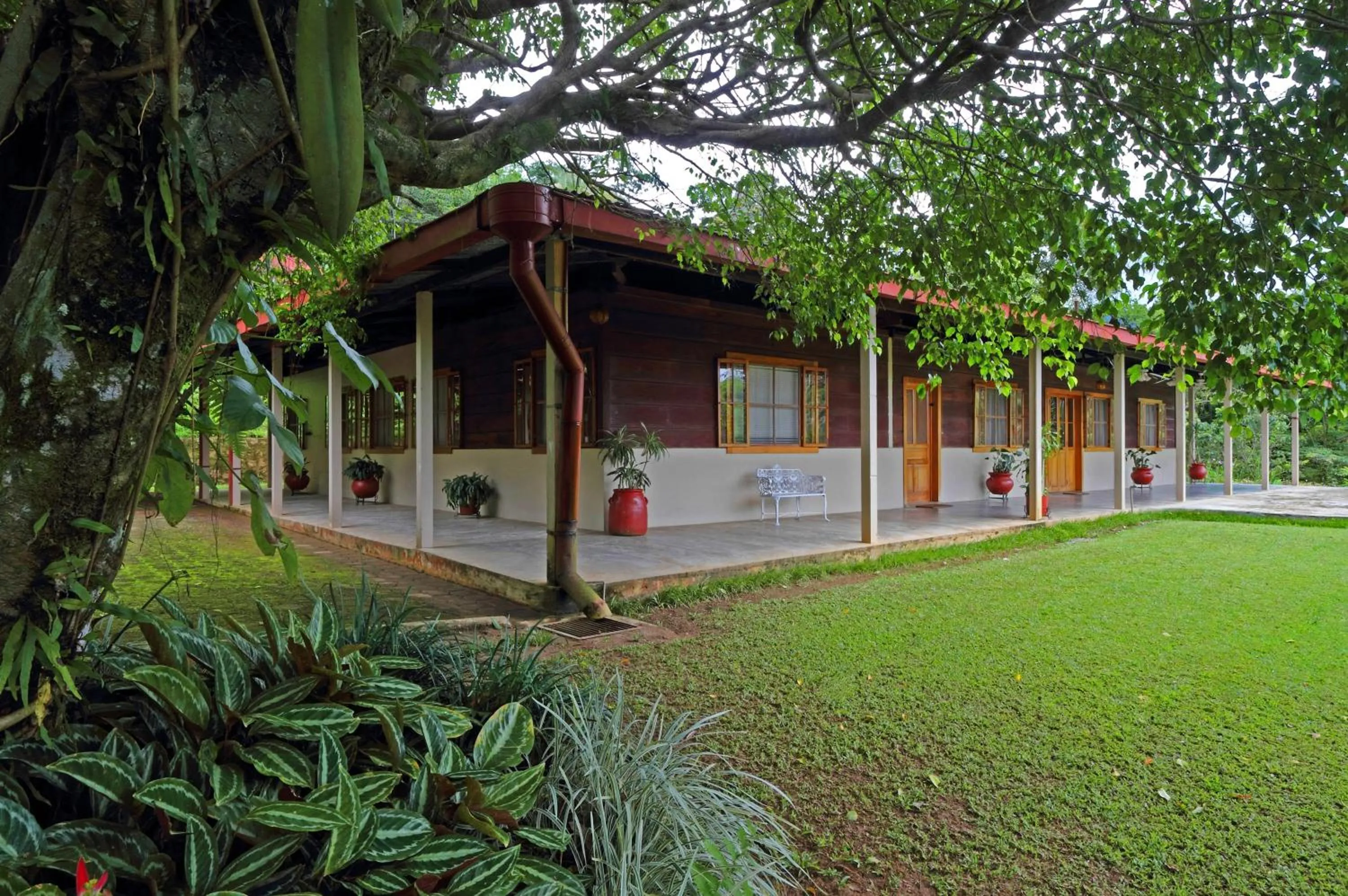 Property building in Argovia Ecolodge