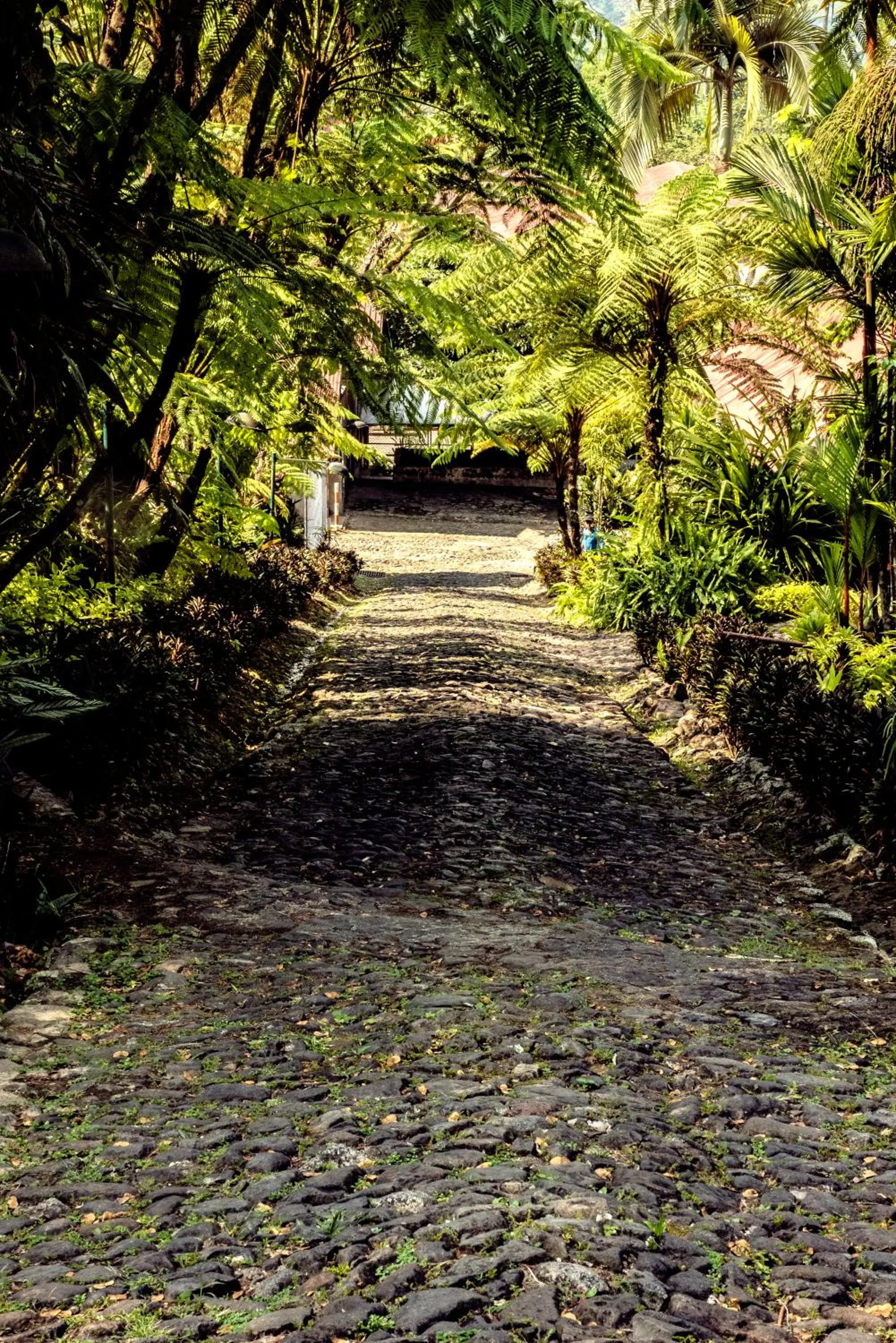 Patio in Argovia Ecolodge
