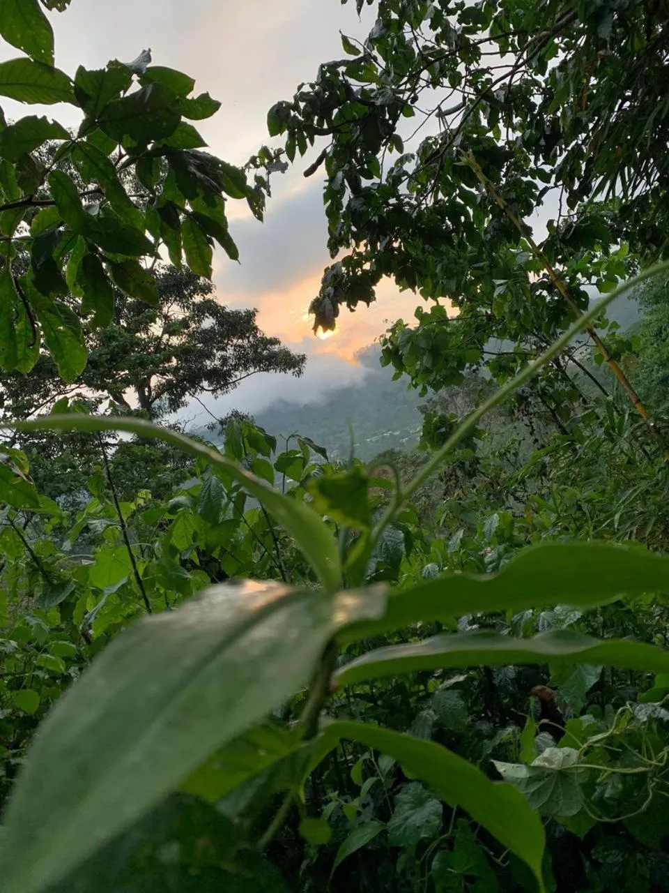 Garden in Argovia Ecolodge