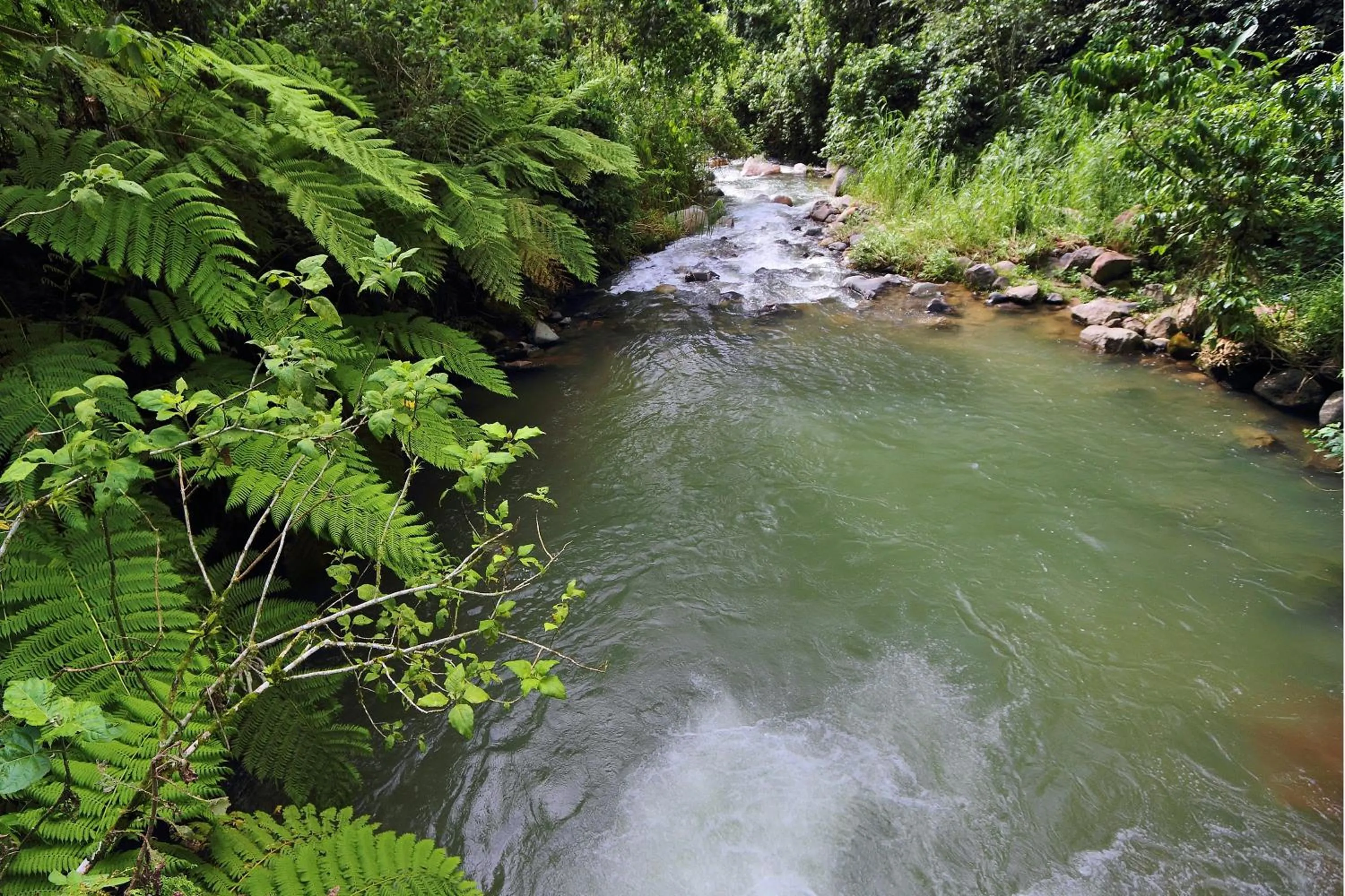 Activities in Argovia Ecolodge