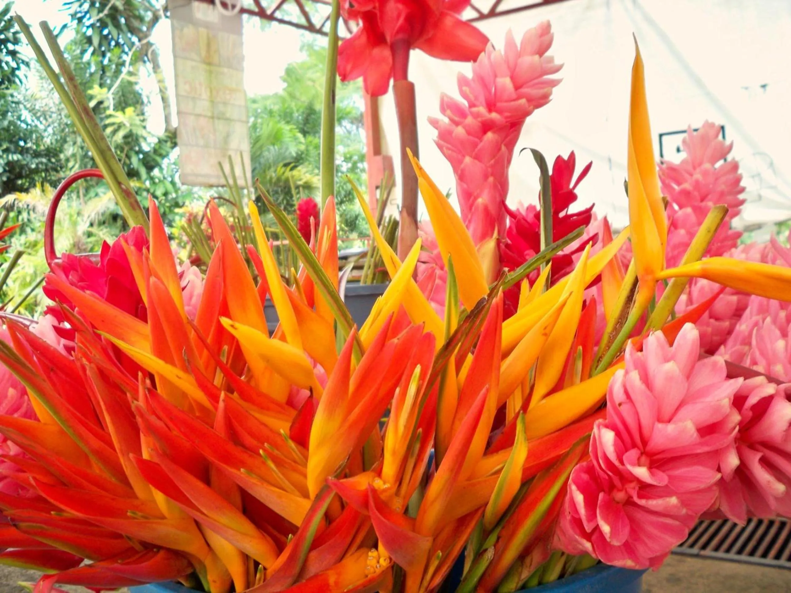 Garden in Argovia Ecolodge