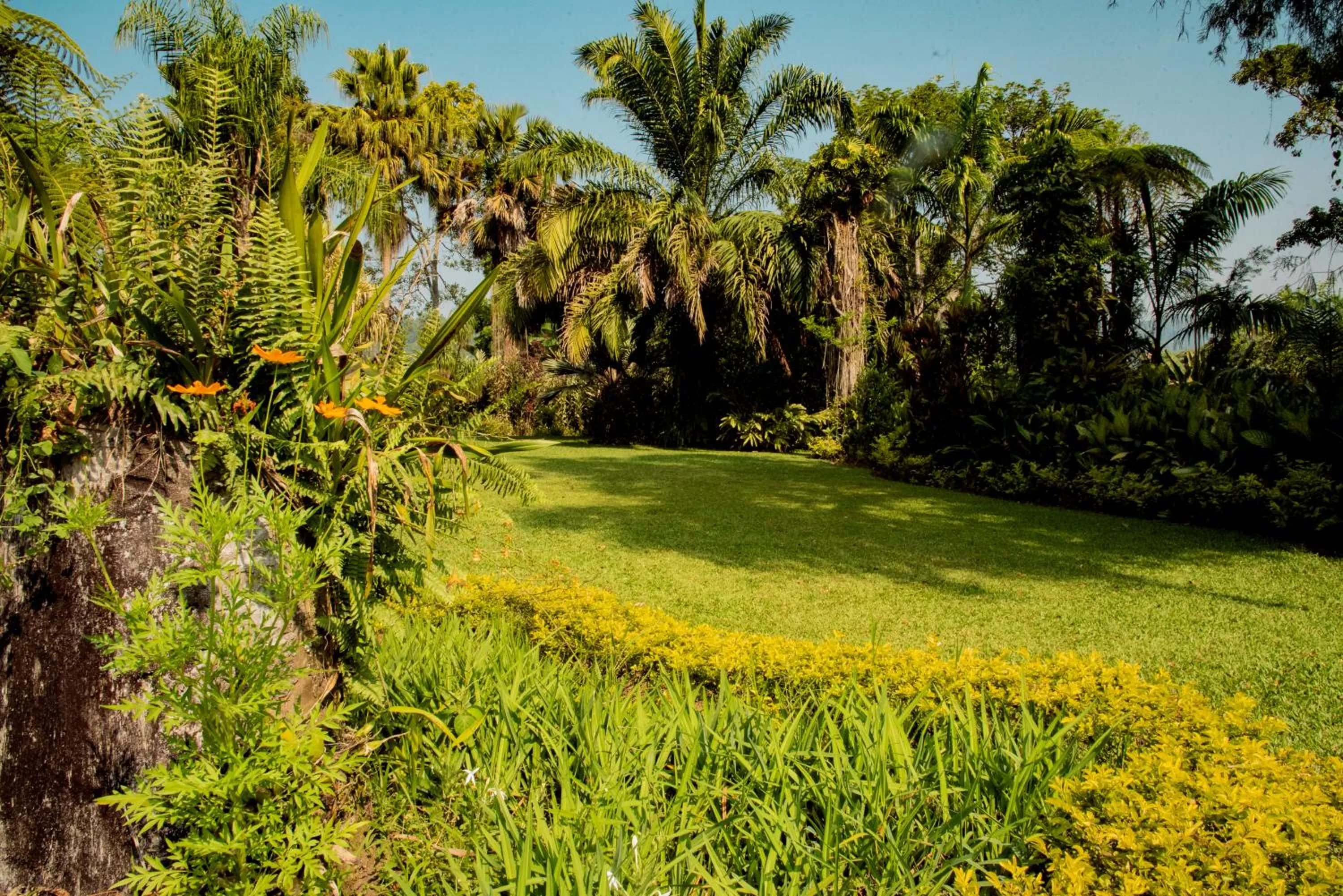 Patio in Argovia Ecolodge