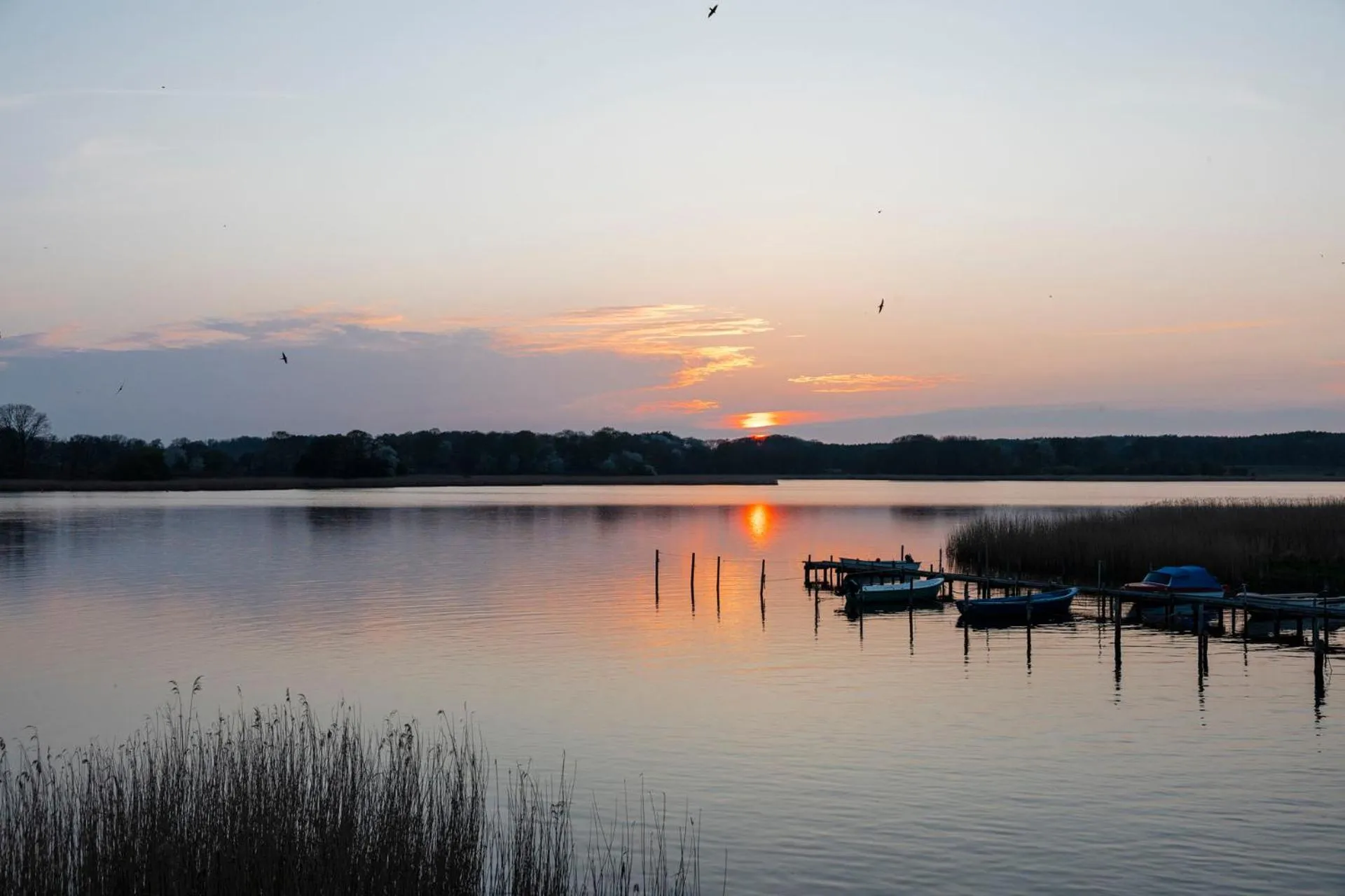 Area and facilities in Hotel Nautilus