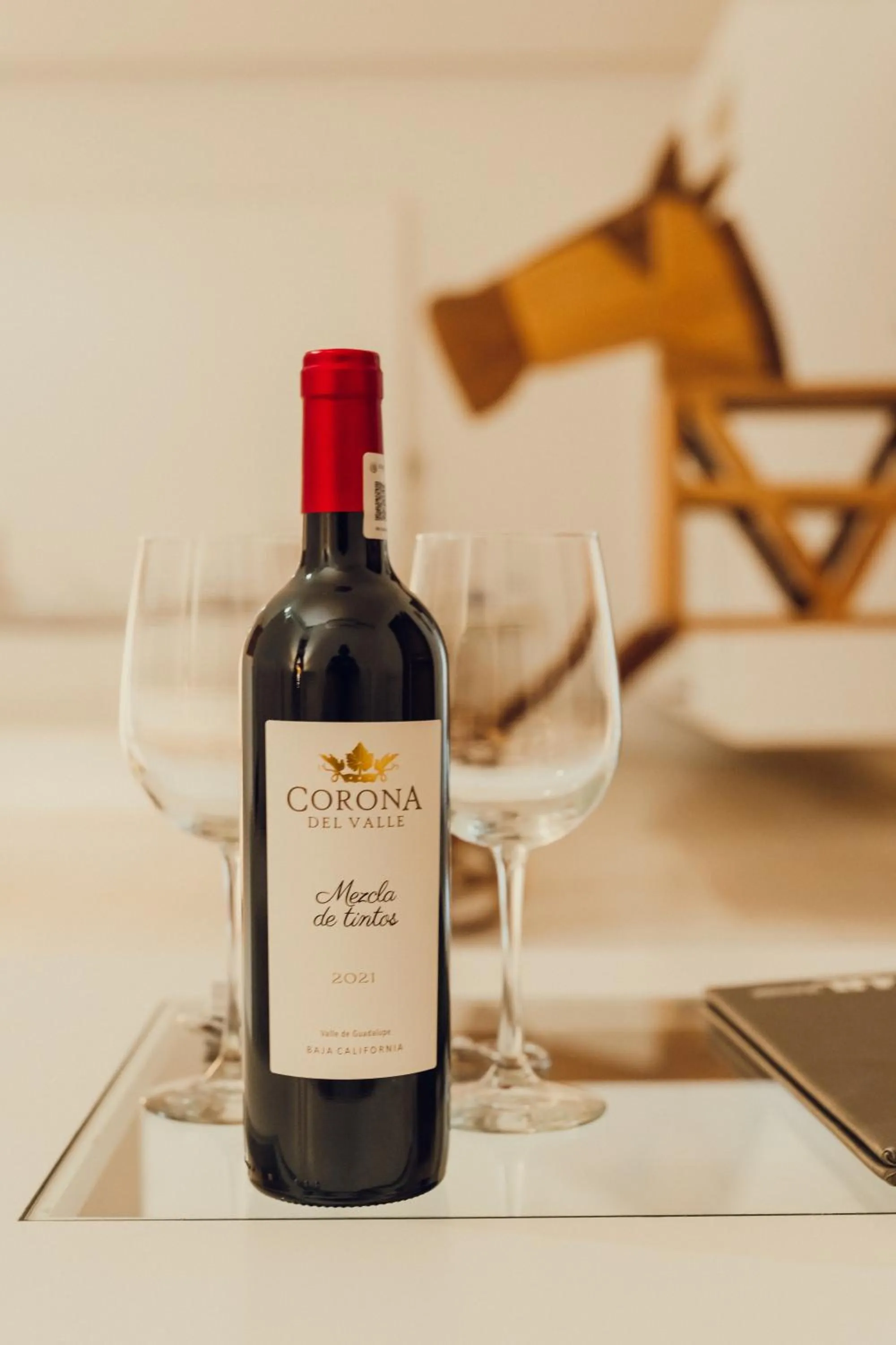 Area and facilities in Hotel Azul de Oaxaca