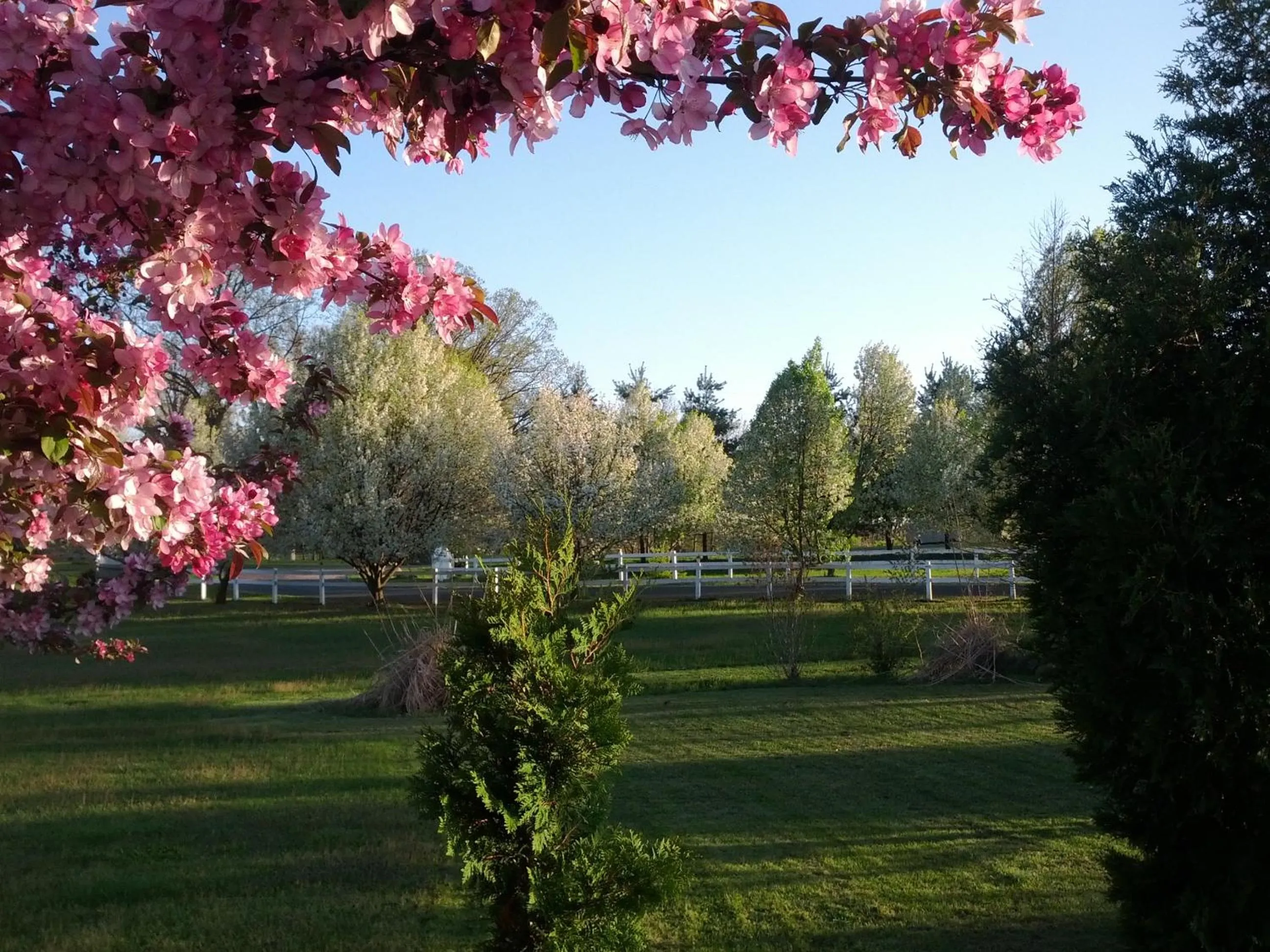 Day in Brook Pointe Resort