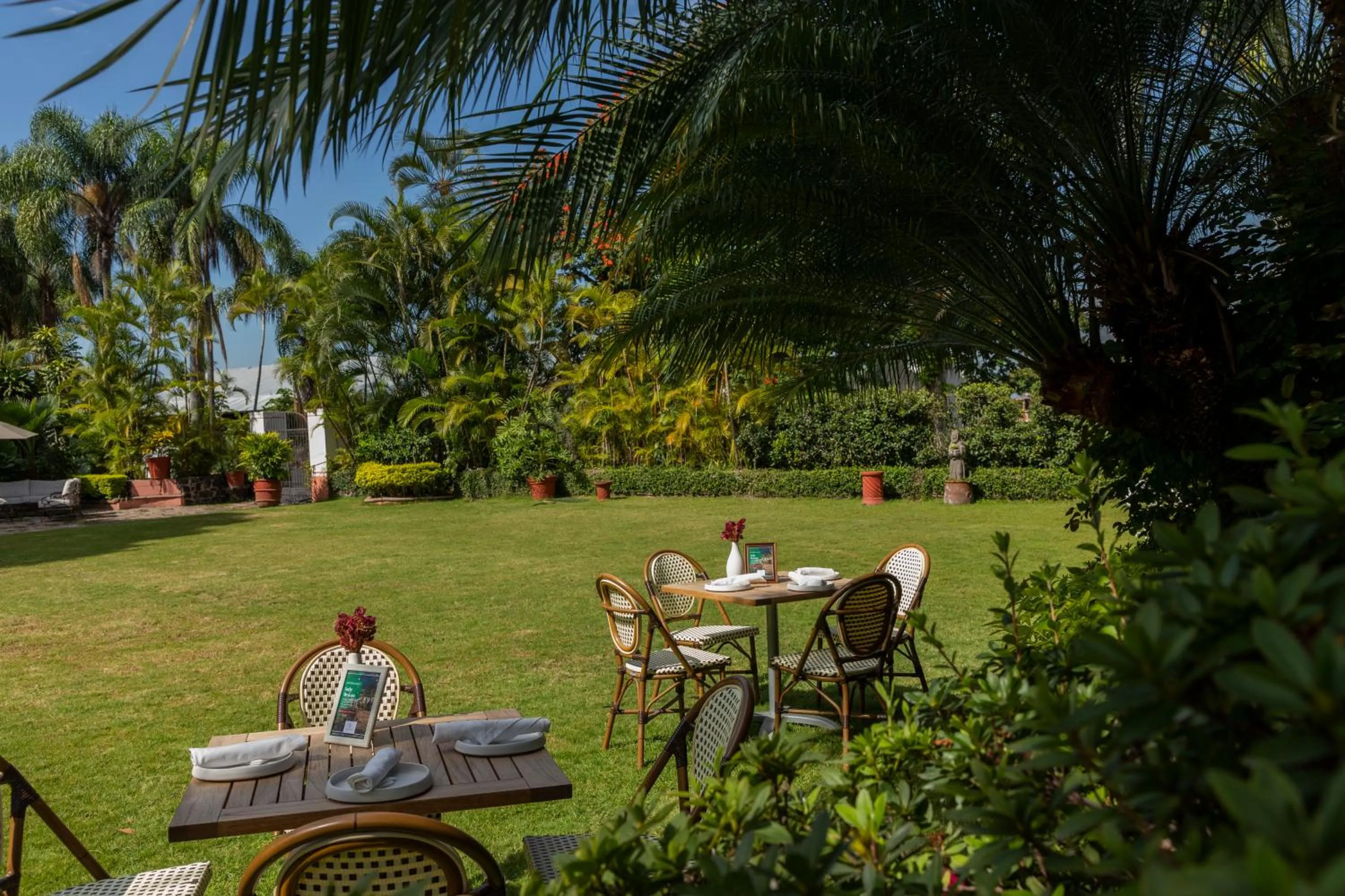 Garden view in Hotel Boutique Casa de Campo