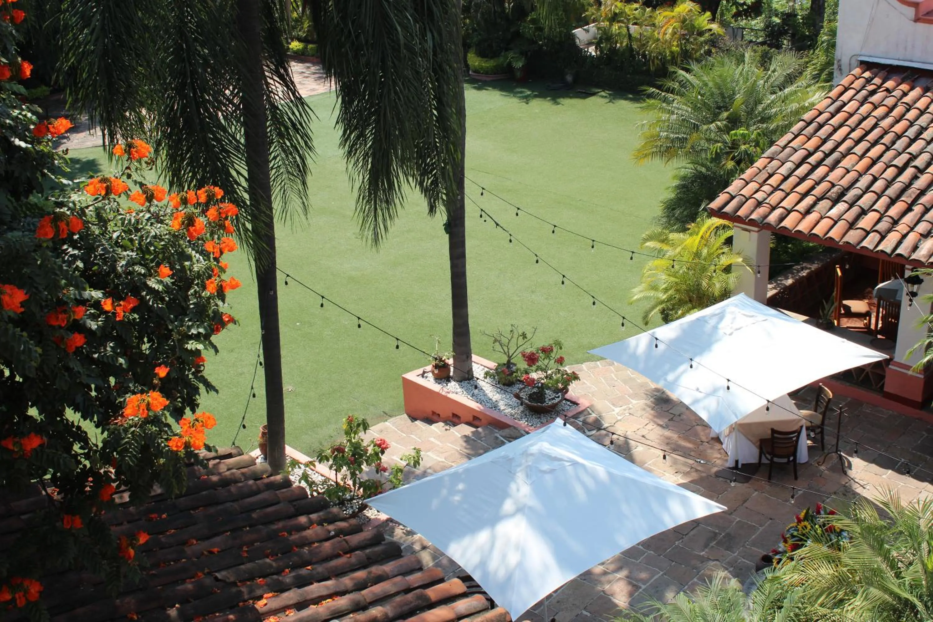 Garden view in Hotel Boutique Casa de Campo