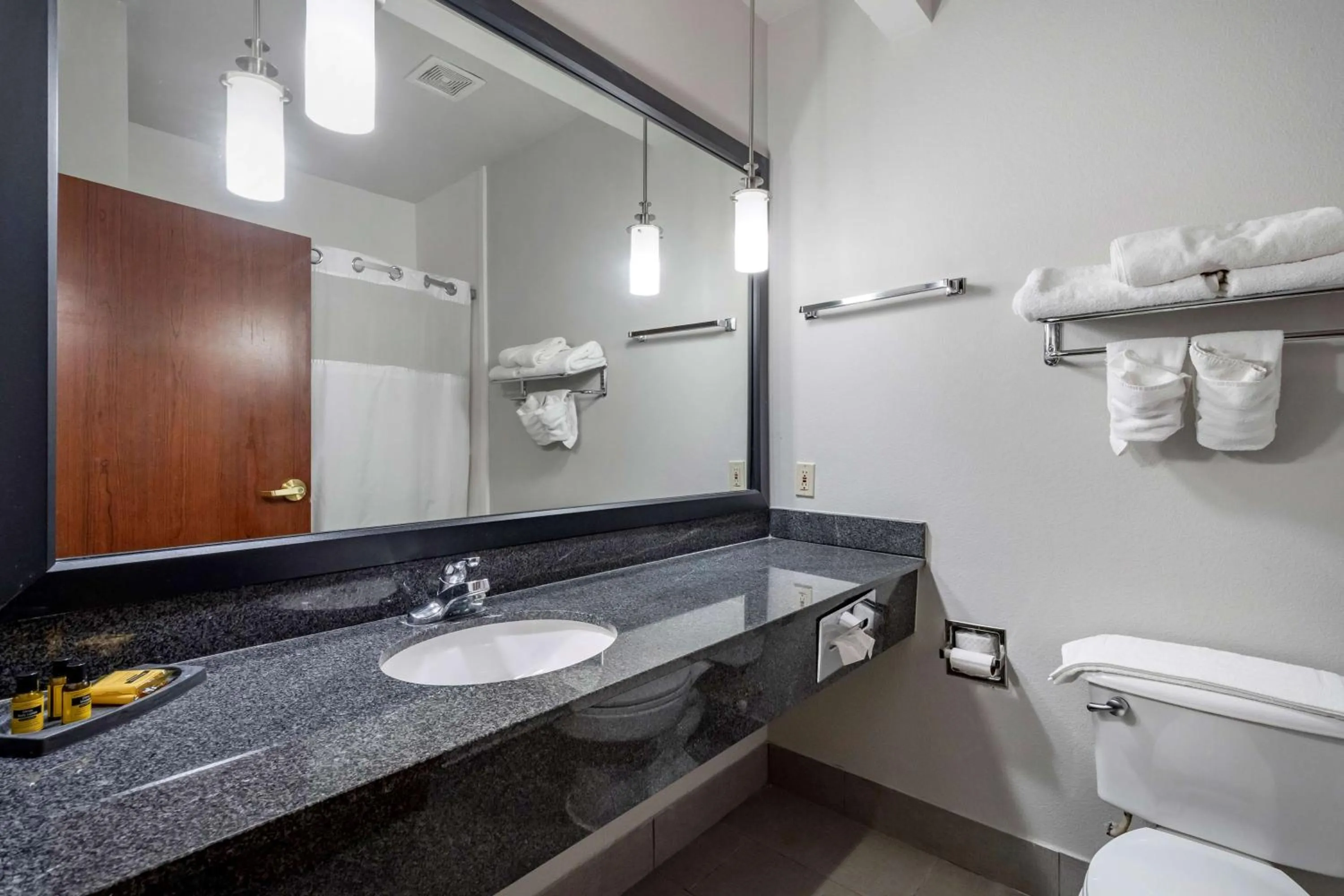 Bathroom in Best Western Plus McKinney Inn and Suites