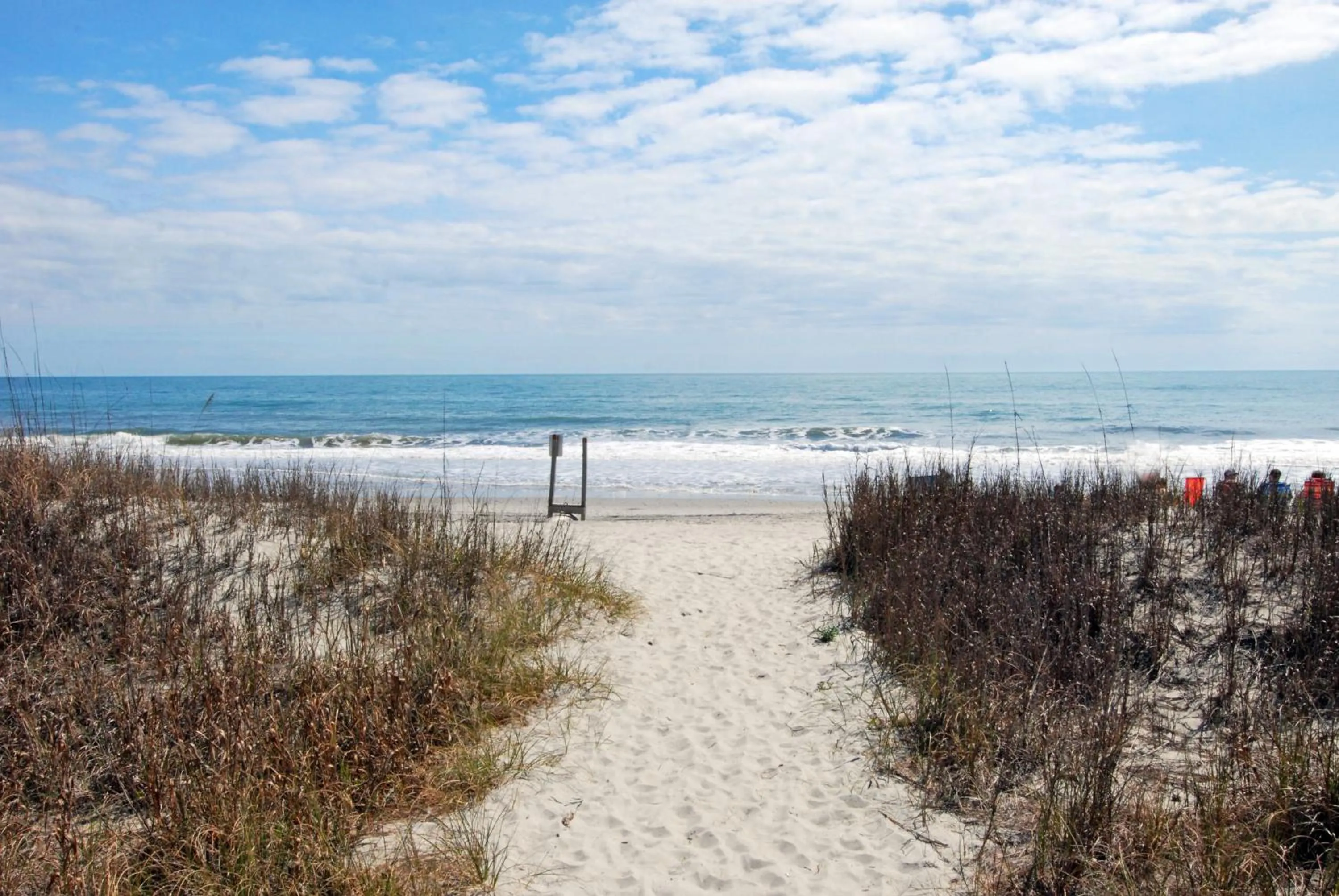 Beach in Ocean Forest Plaza by Palmetto Vacations