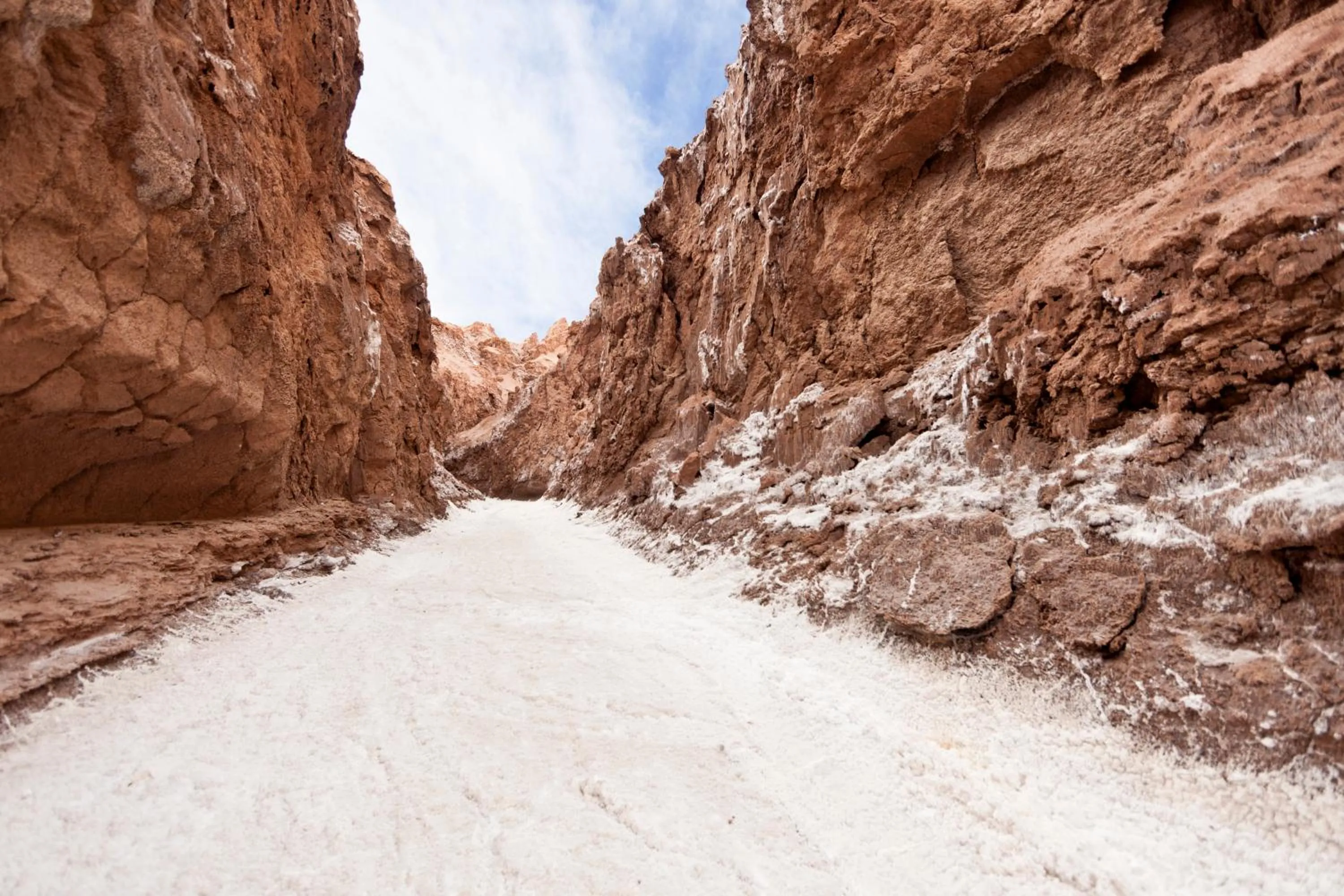 Area and facilities in Nayara Alto Atacama