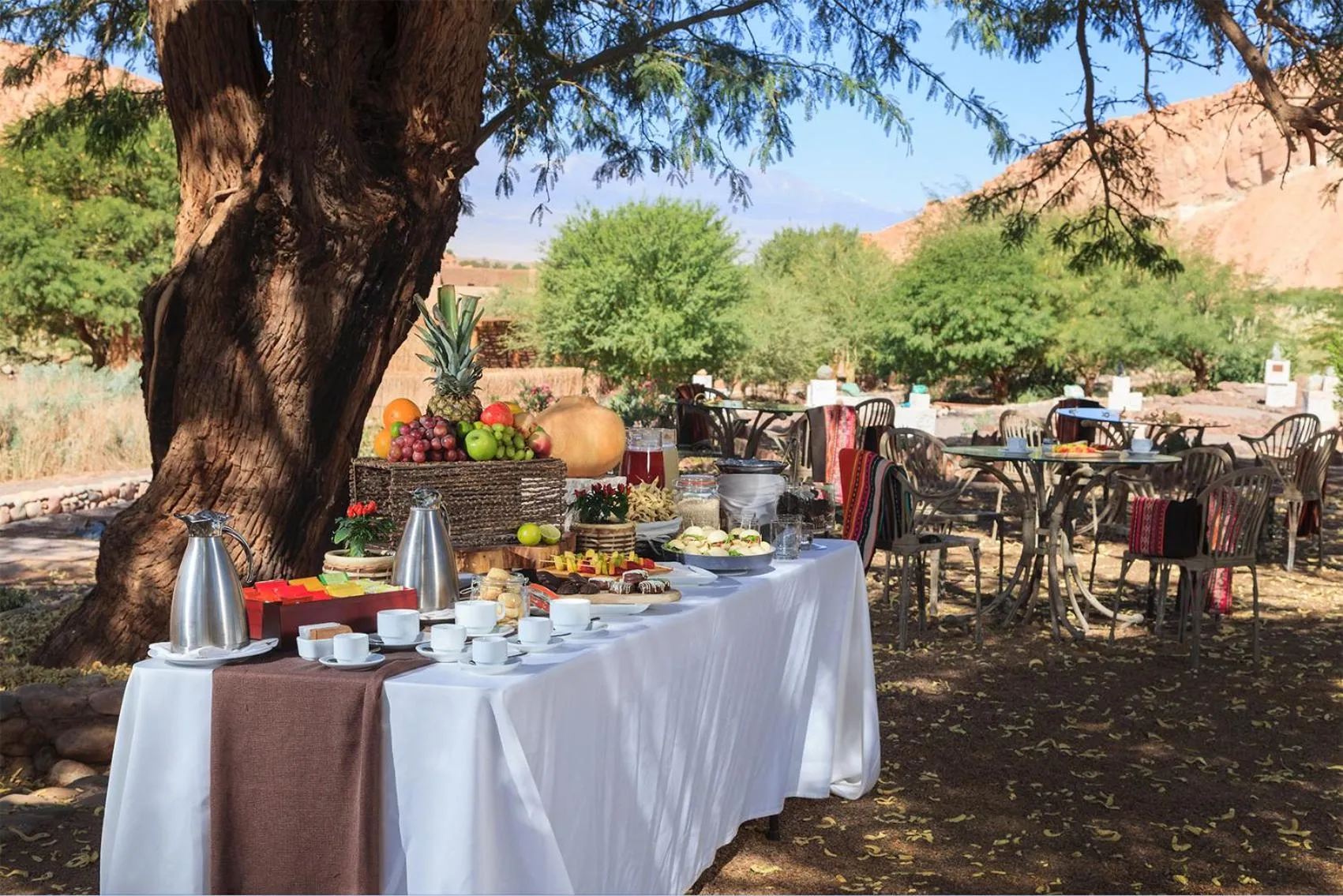 Food in Nayara Alto Atacama