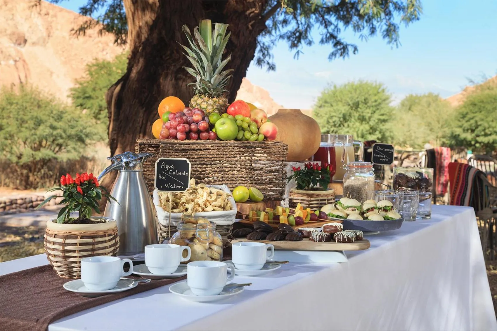 Food and drinks in Nayara Alto Atacama